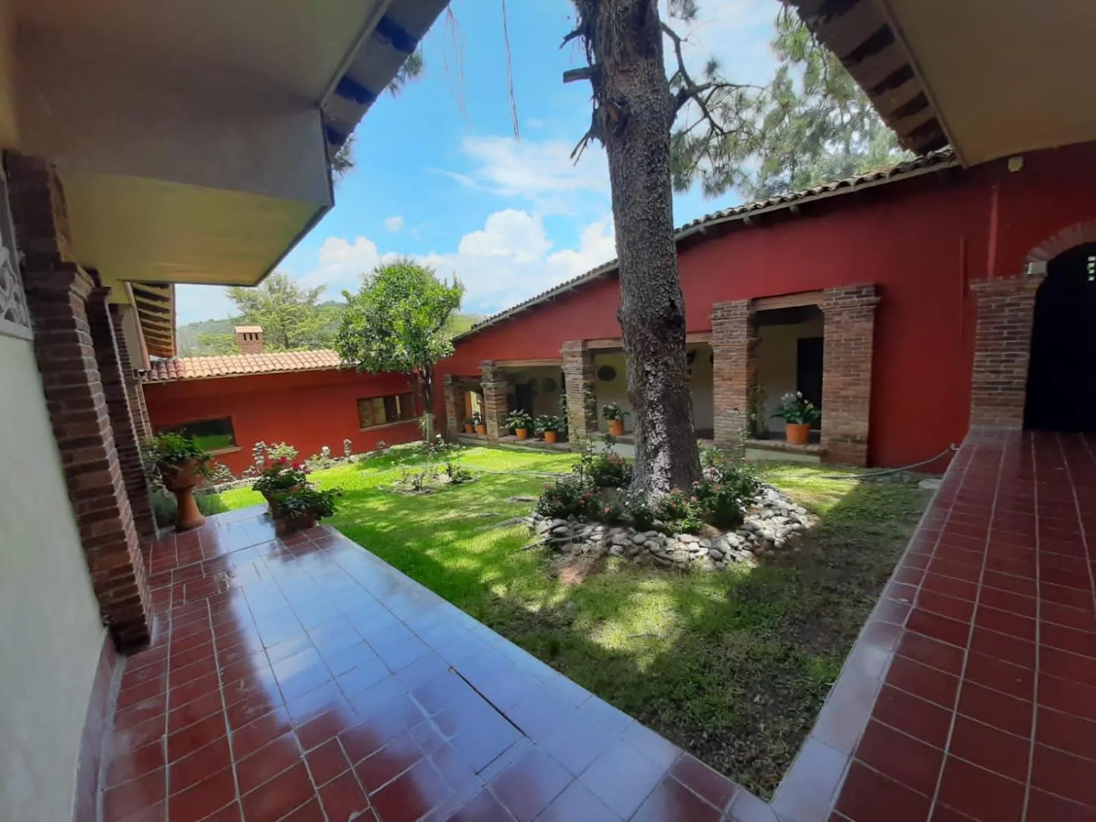 Garden view in Posada Los Colorines