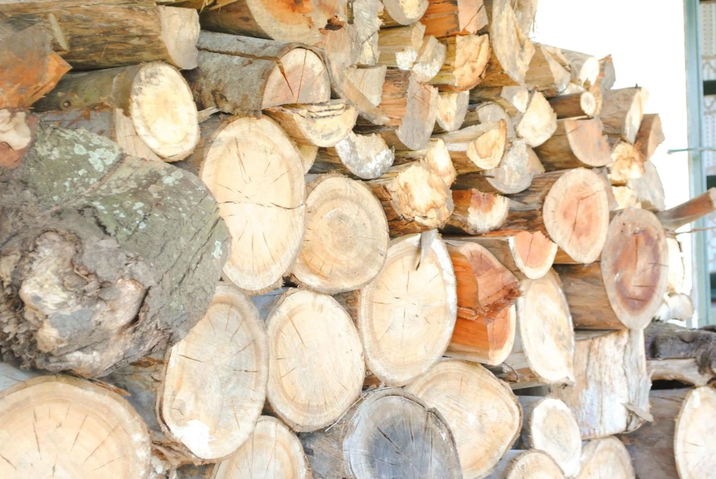 Estancia Aguila Blanca