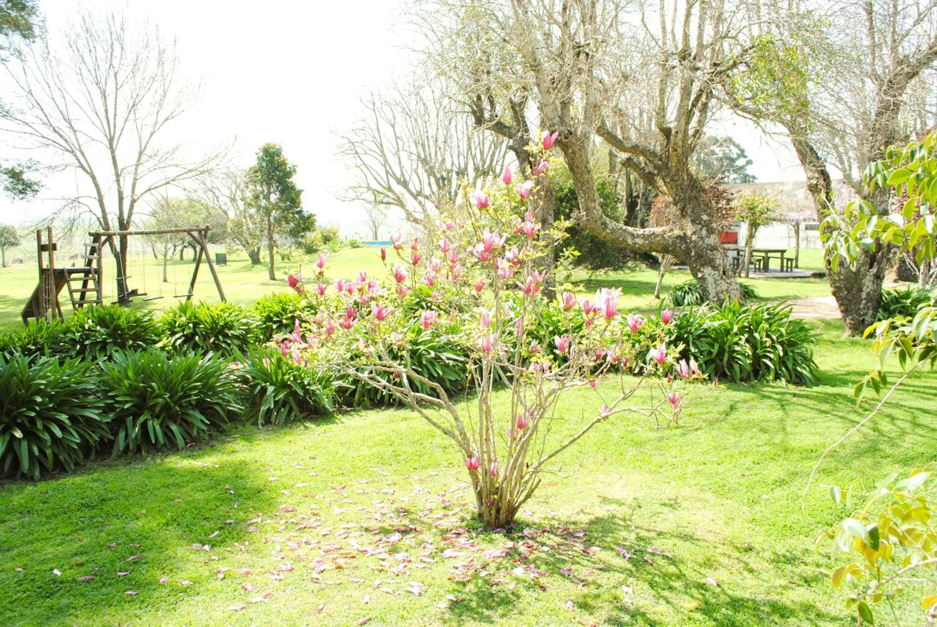 Estancia Aguila Blanca