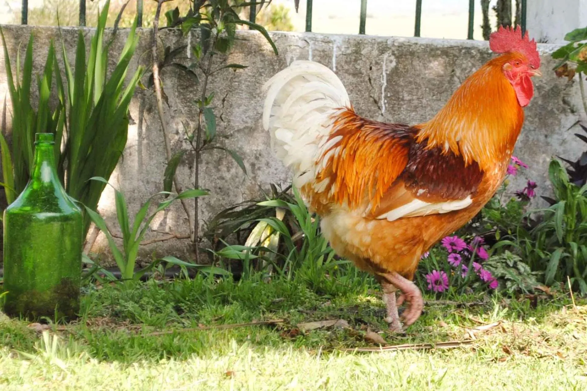 Estancia Aguila Blanca