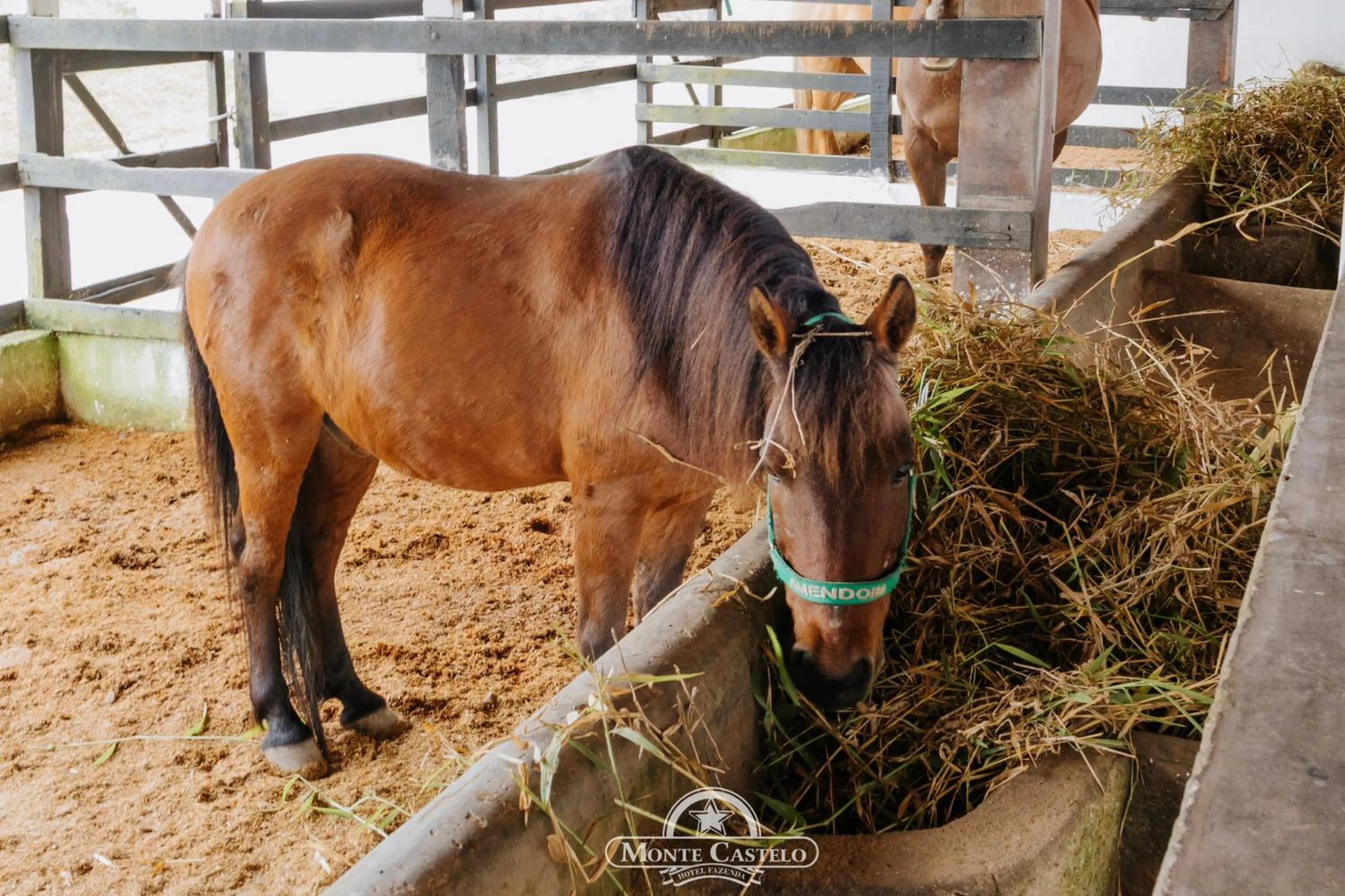 Hotel Fazenda Monte Castelo