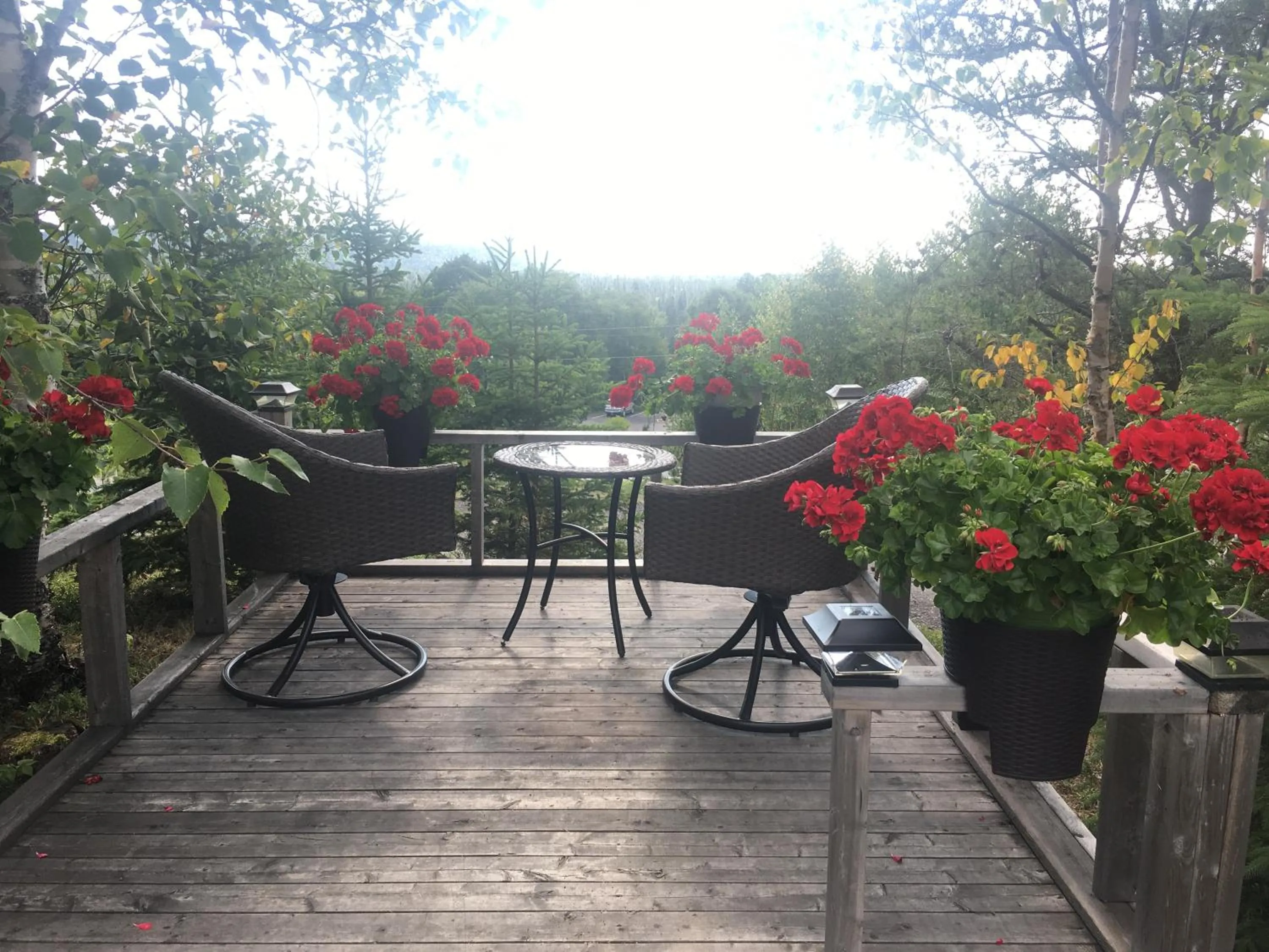 Balcony/Terrace in Mystic Isle Motel