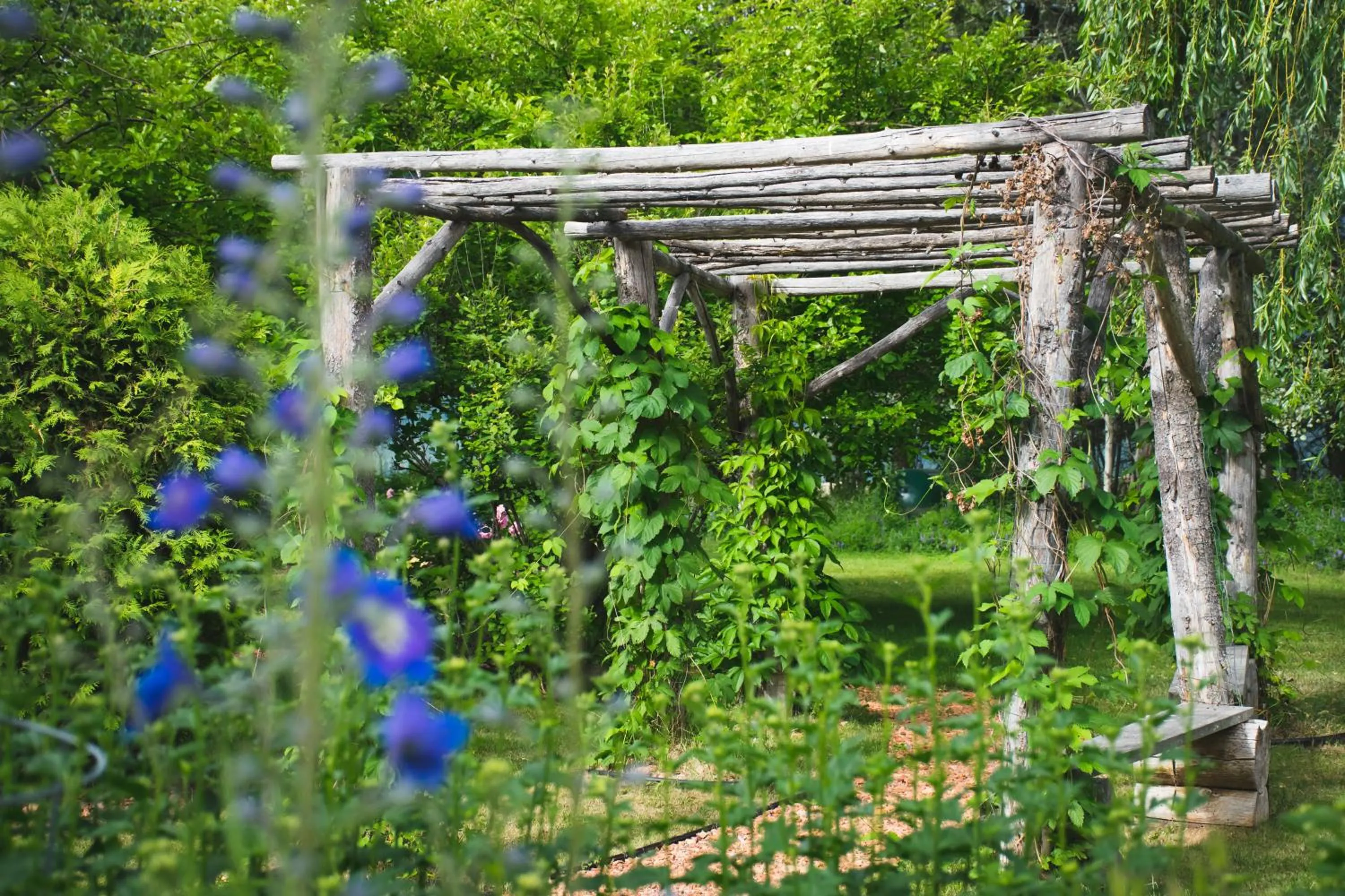 Summer in Whitewater Lodge