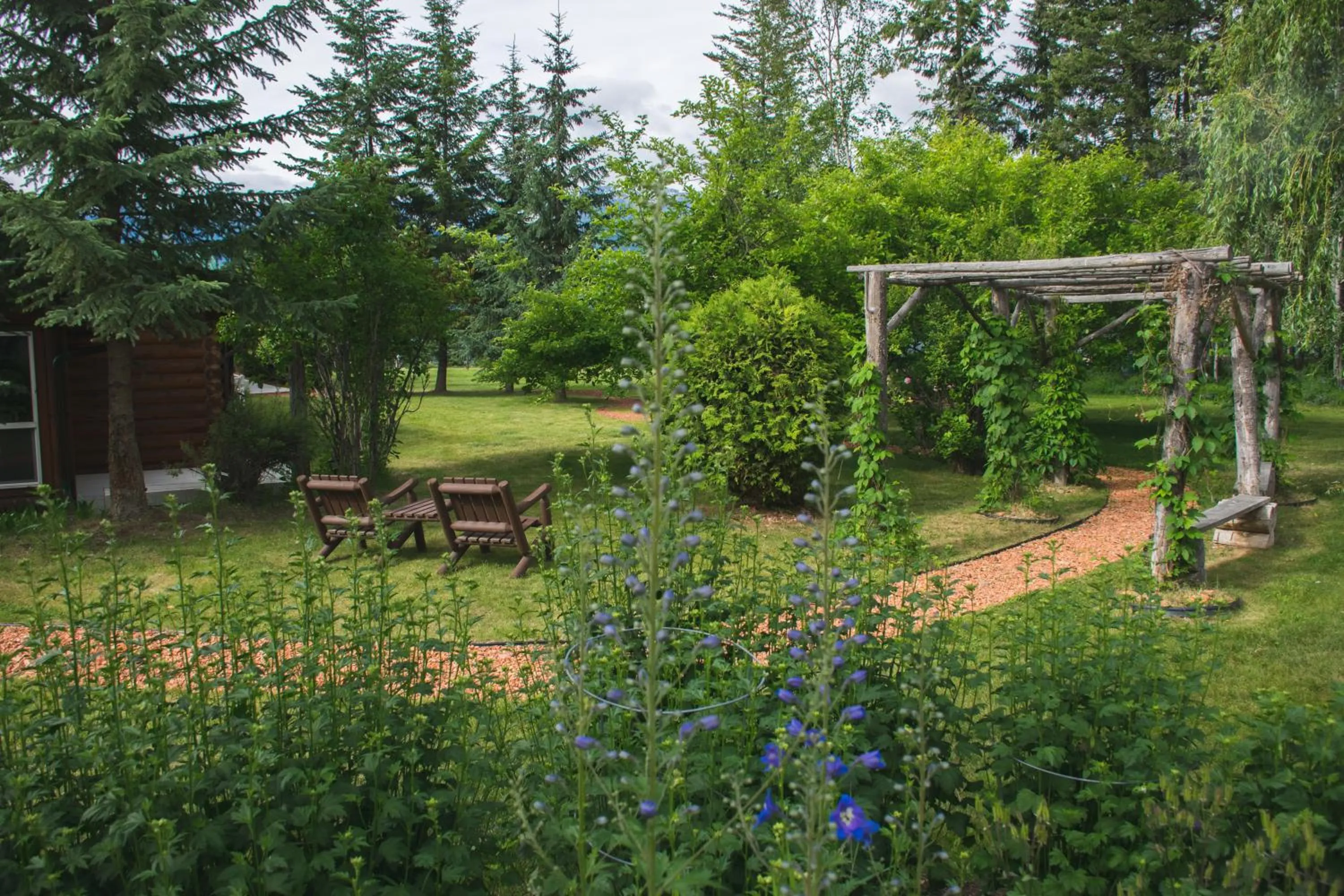 Summer in Whitewater Lodge