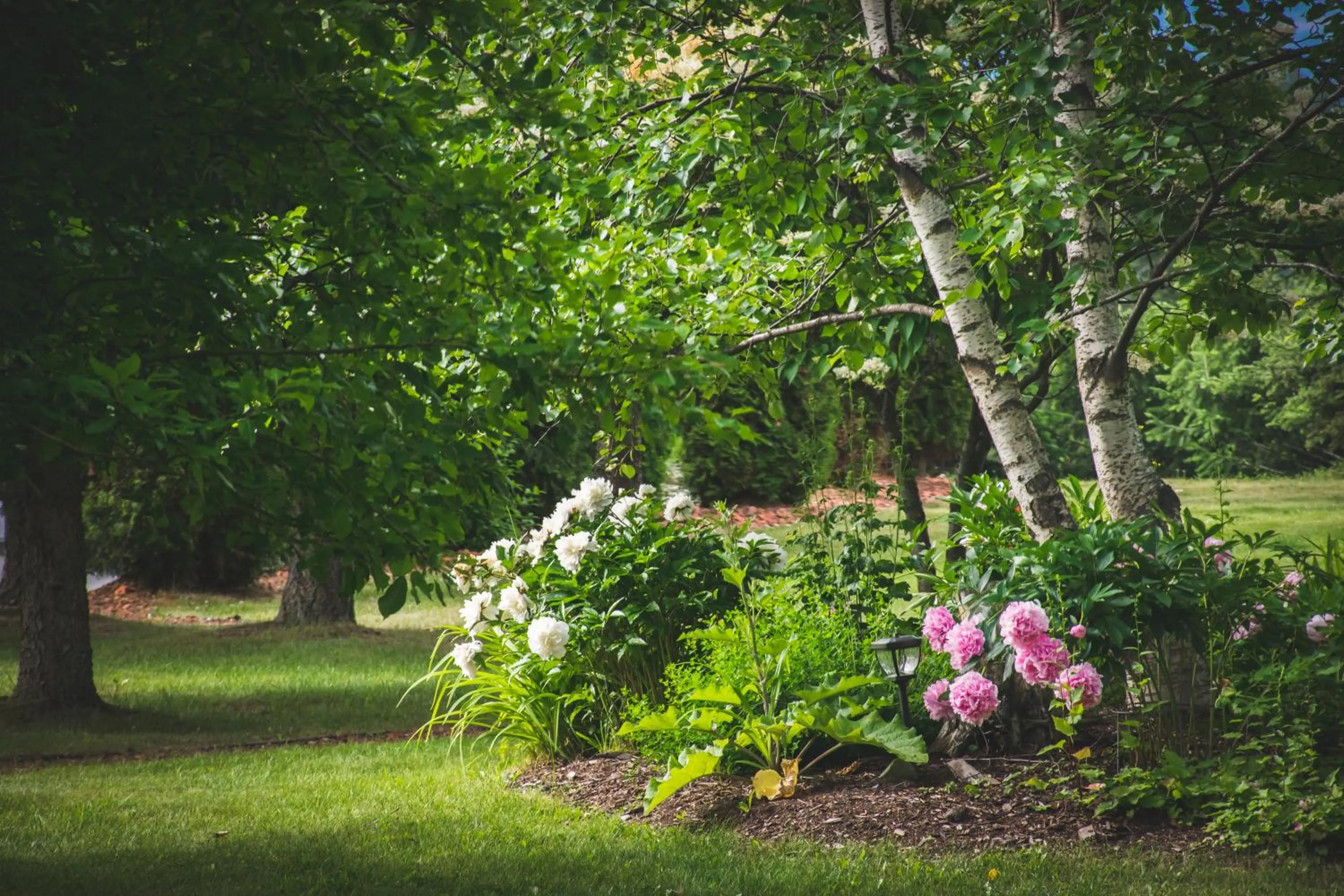 Summer in Whitewater Lodge