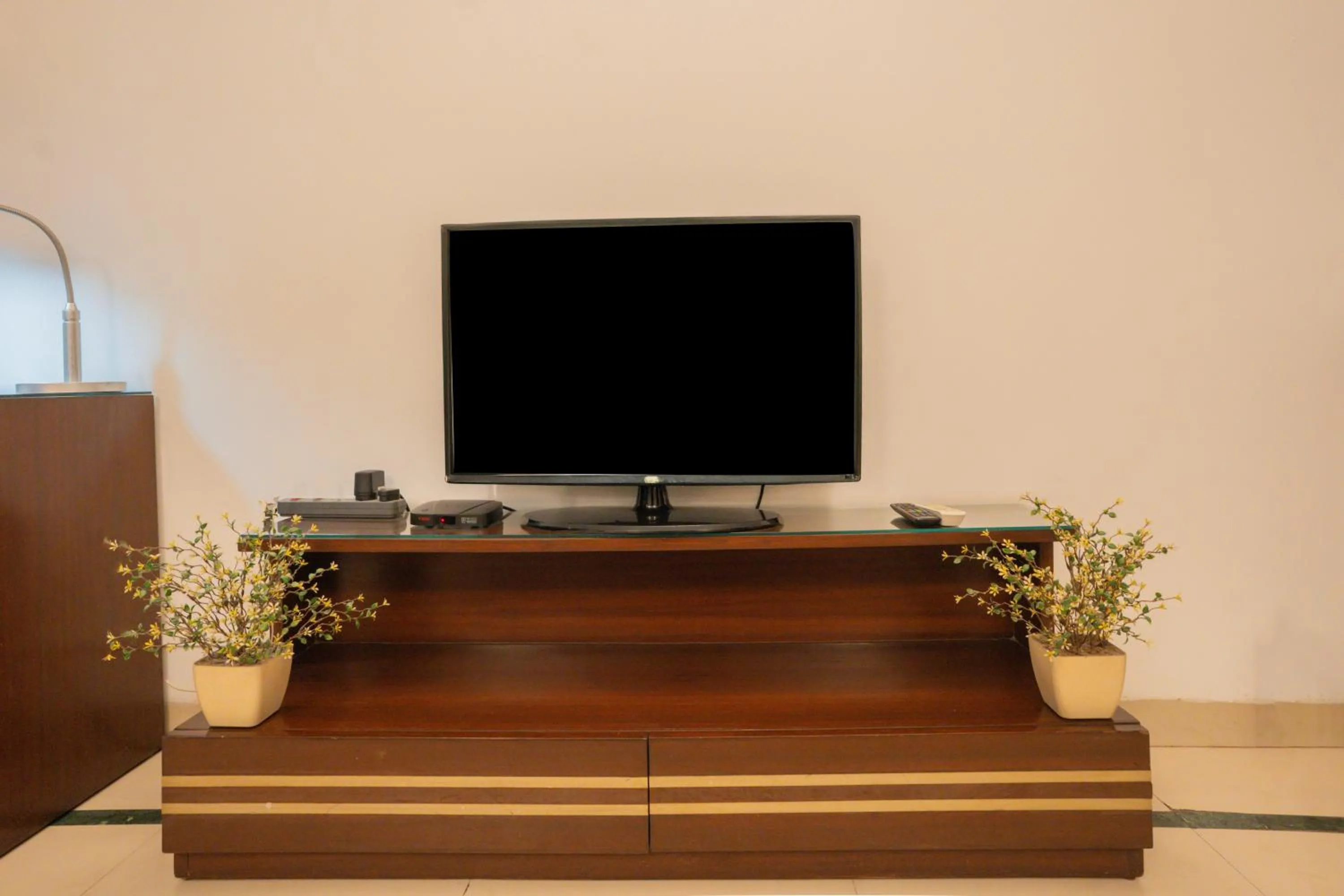 TV and multimedia in Ahuja Residency DLF Phase 2