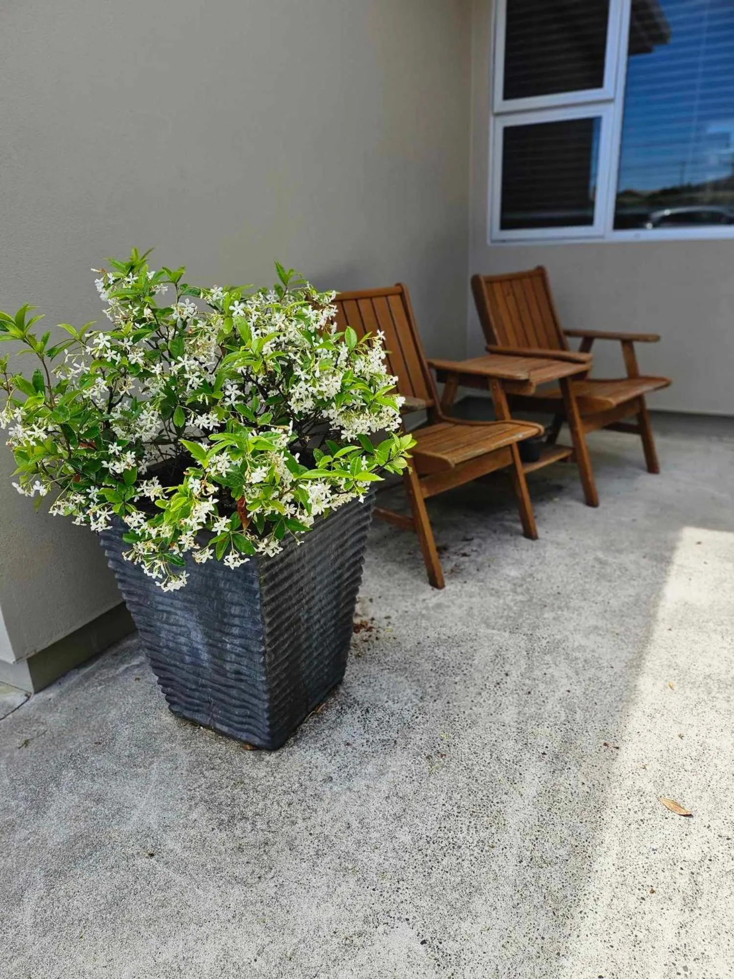 Beach Street Motel Apartments