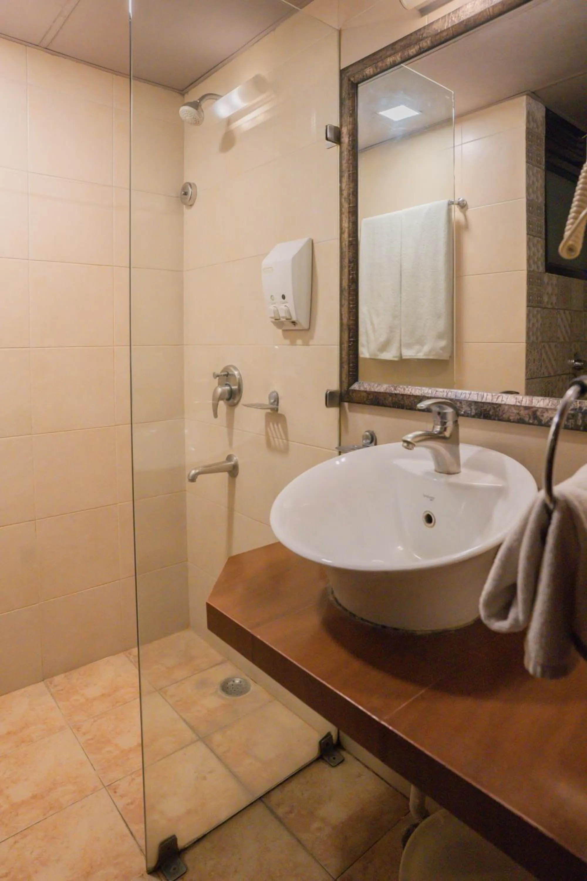 Bathroom in Ahuja Residency Parklane