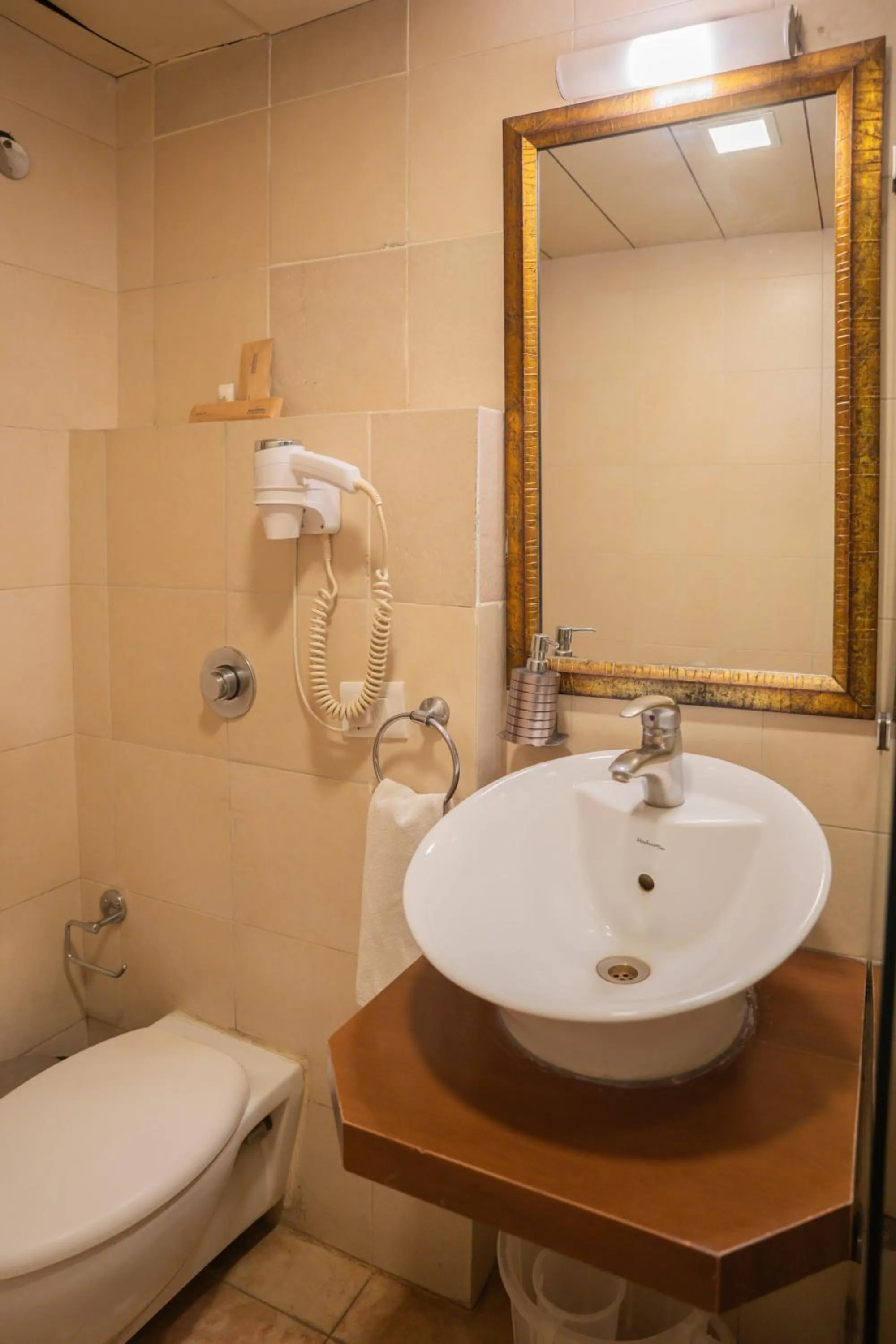 Bathroom in Ahuja Residency Parklane