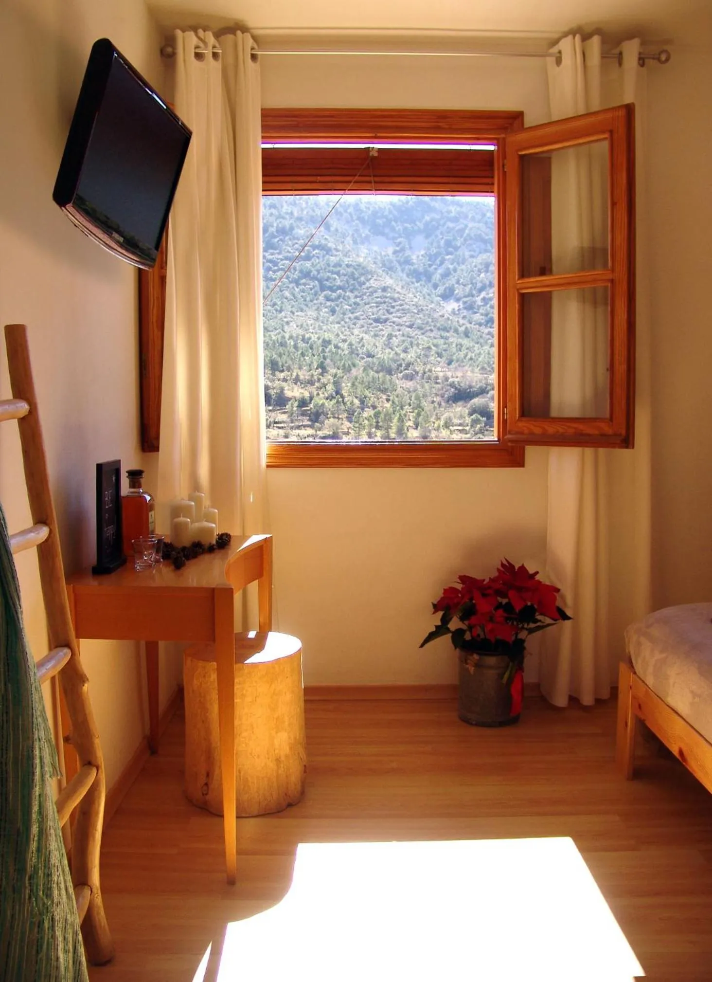 View (from property/room) in Hotel La Tinensa