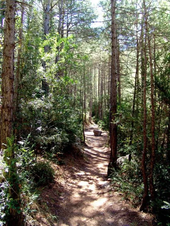 Natural landscape in Hotel La Tinensa
