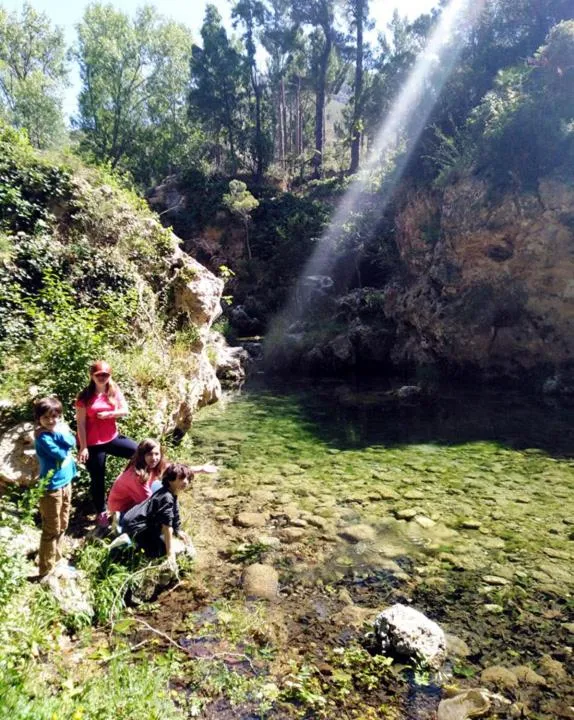Natural landscape in Hotel La Tinensa