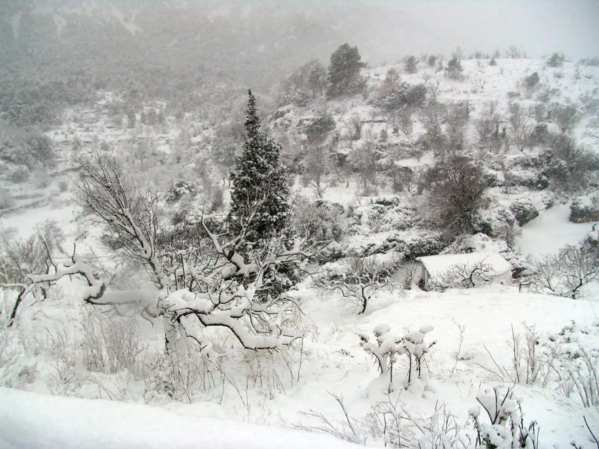Natural landscape in Hotel La Tinensa
