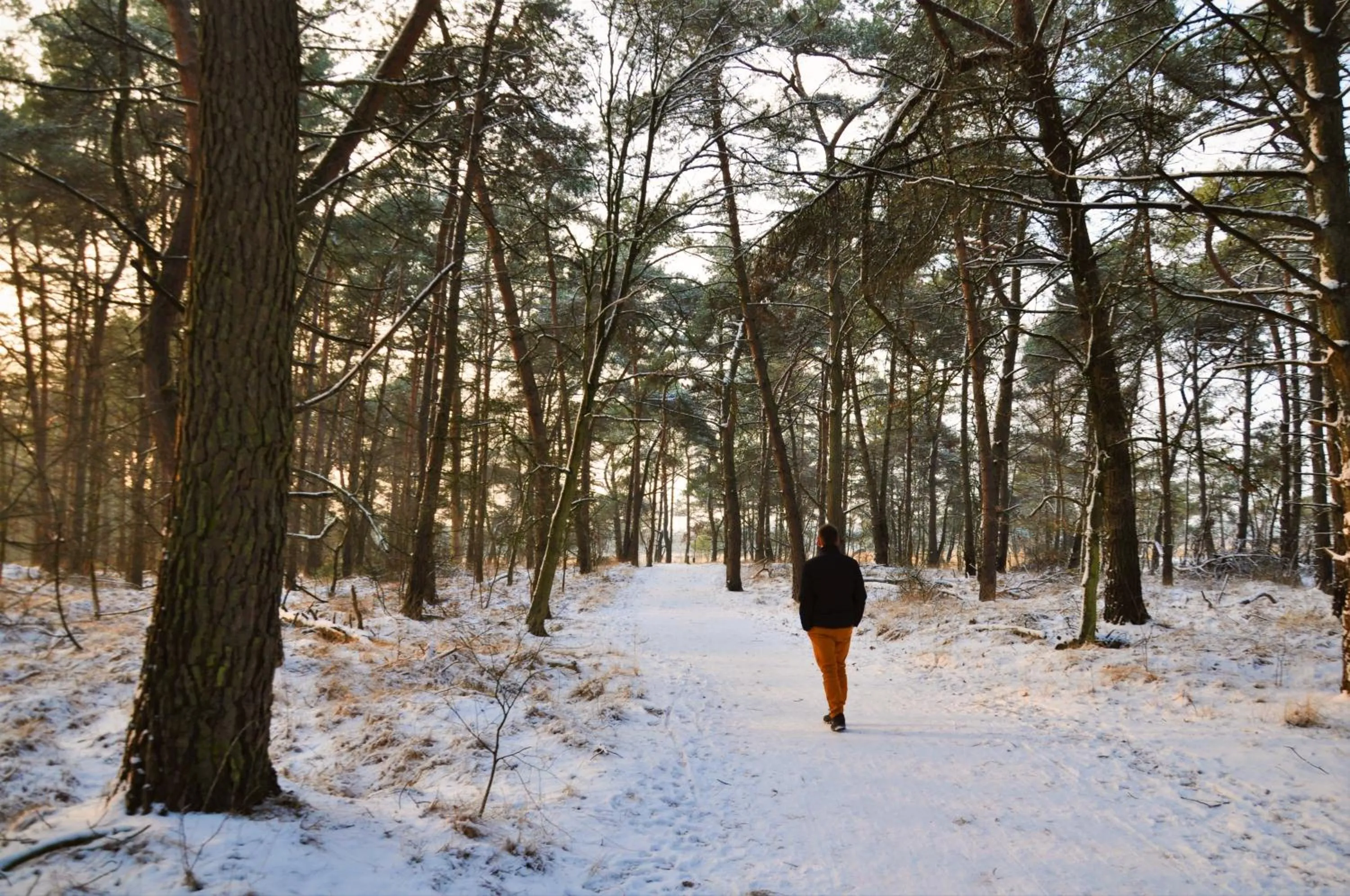 Nearby landmark in Hotel Jerom