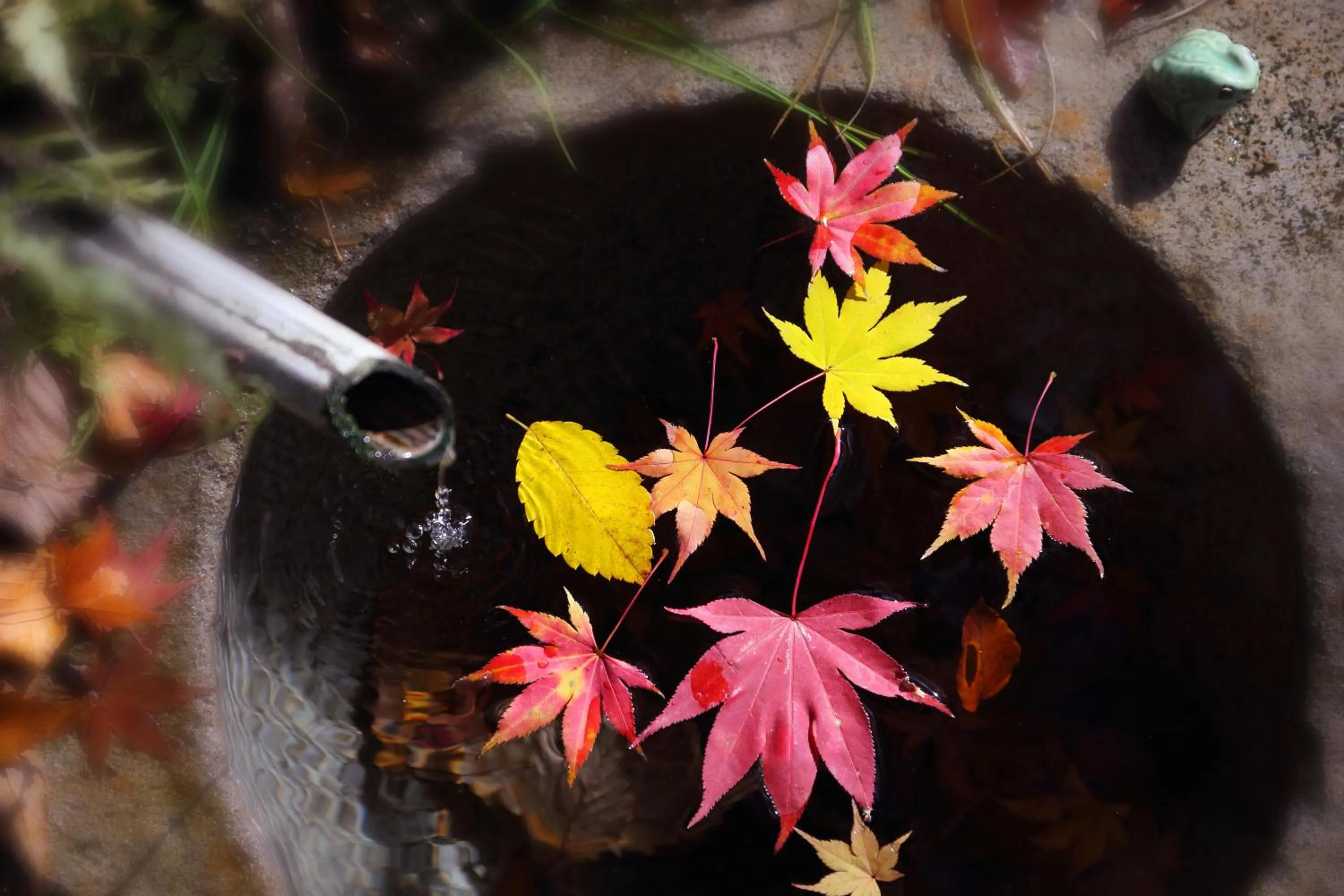 Decorative detail in Syoubun