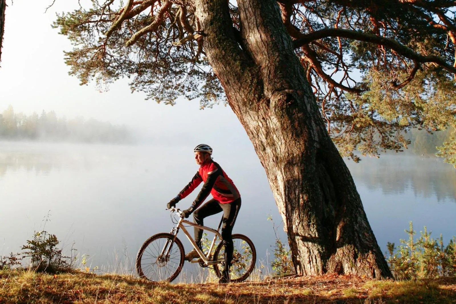 Cycling in Bergshotellet