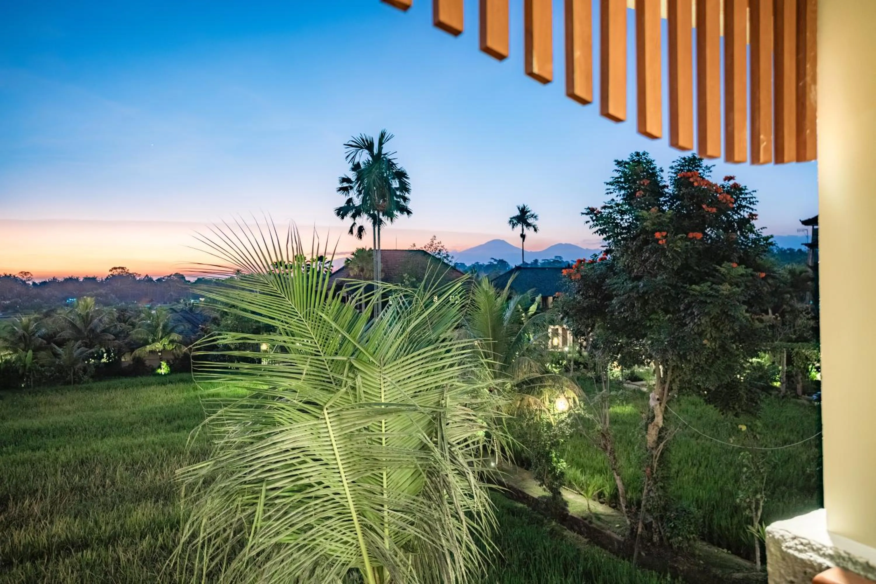 Natural landscape in Bliss Ubud Spa Resort