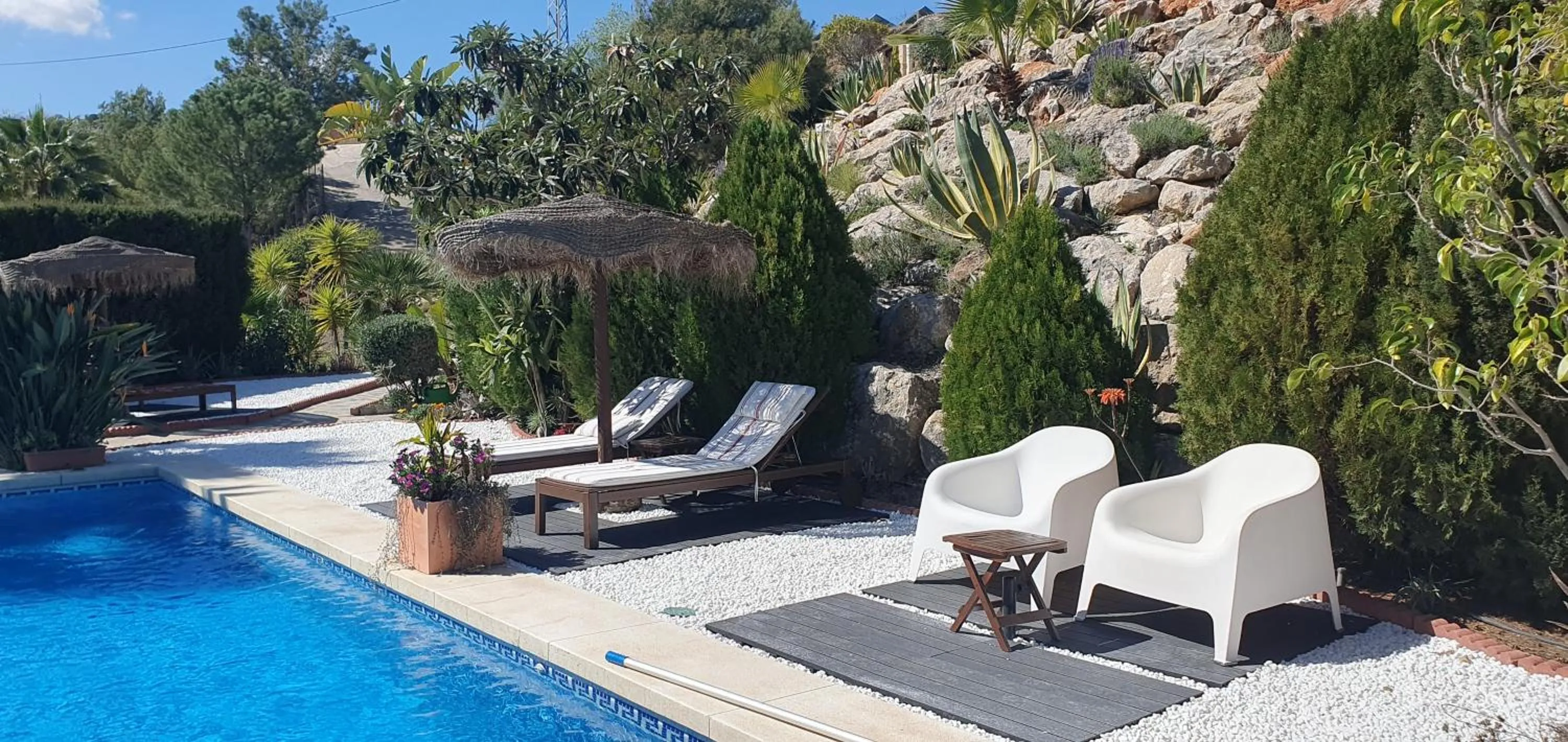 Swimming pool in Bed & Breakfast | Guest House Casa Don Carlos