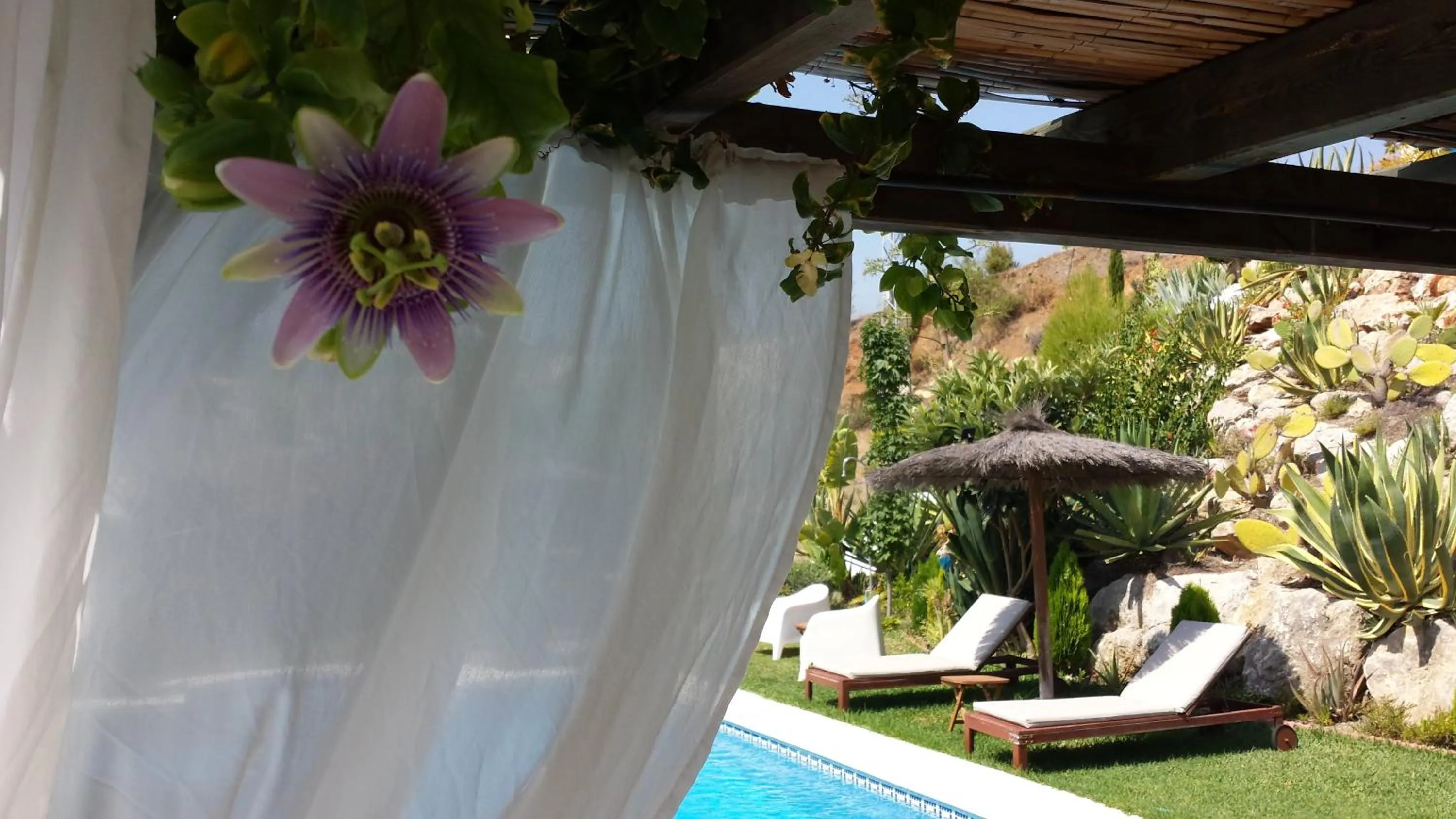 Swimming pool in Bed & Breakfast | Guest House Casa Don Carlos