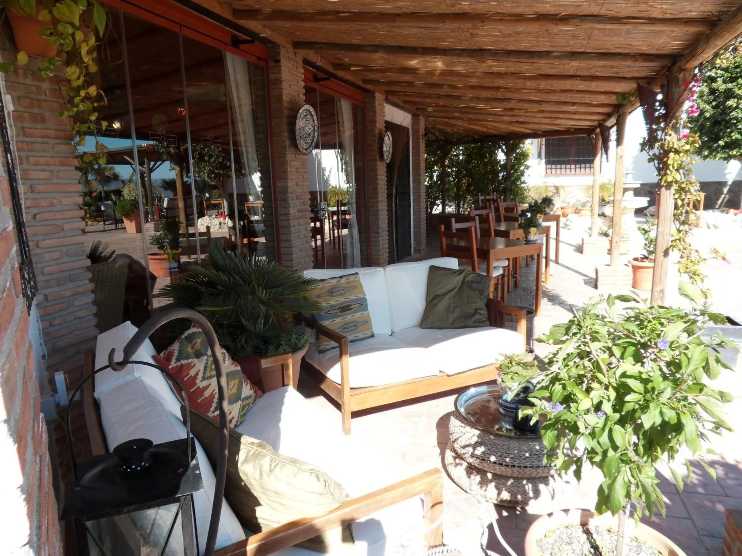 Balcony/Terrace in Bed & Breakfast | Guest House Casa Don Carlos