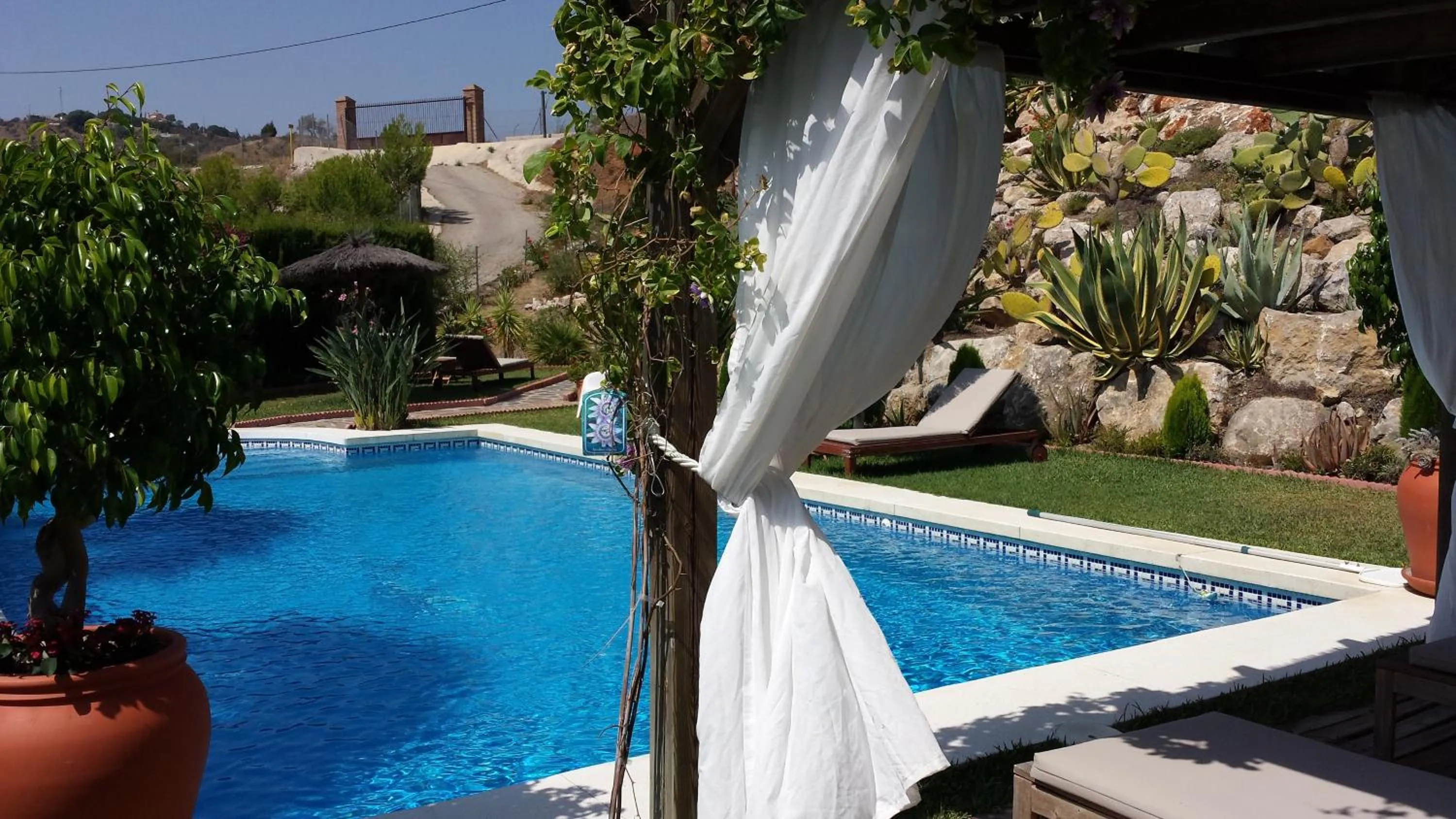 Swimming pool in Bed & Breakfast | Guest House Casa Don Carlos