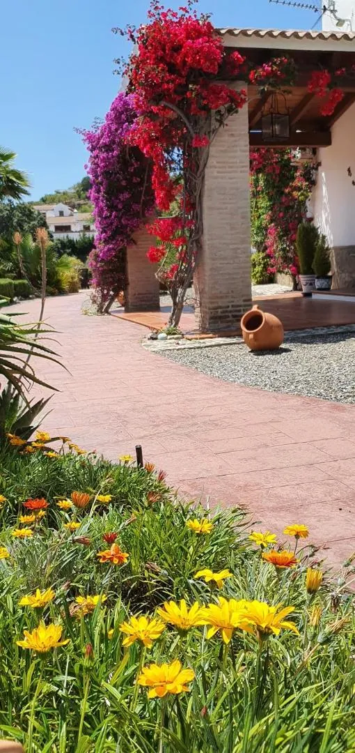 Property building in Bed & Breakfast | Guest House Casa Don Carlos