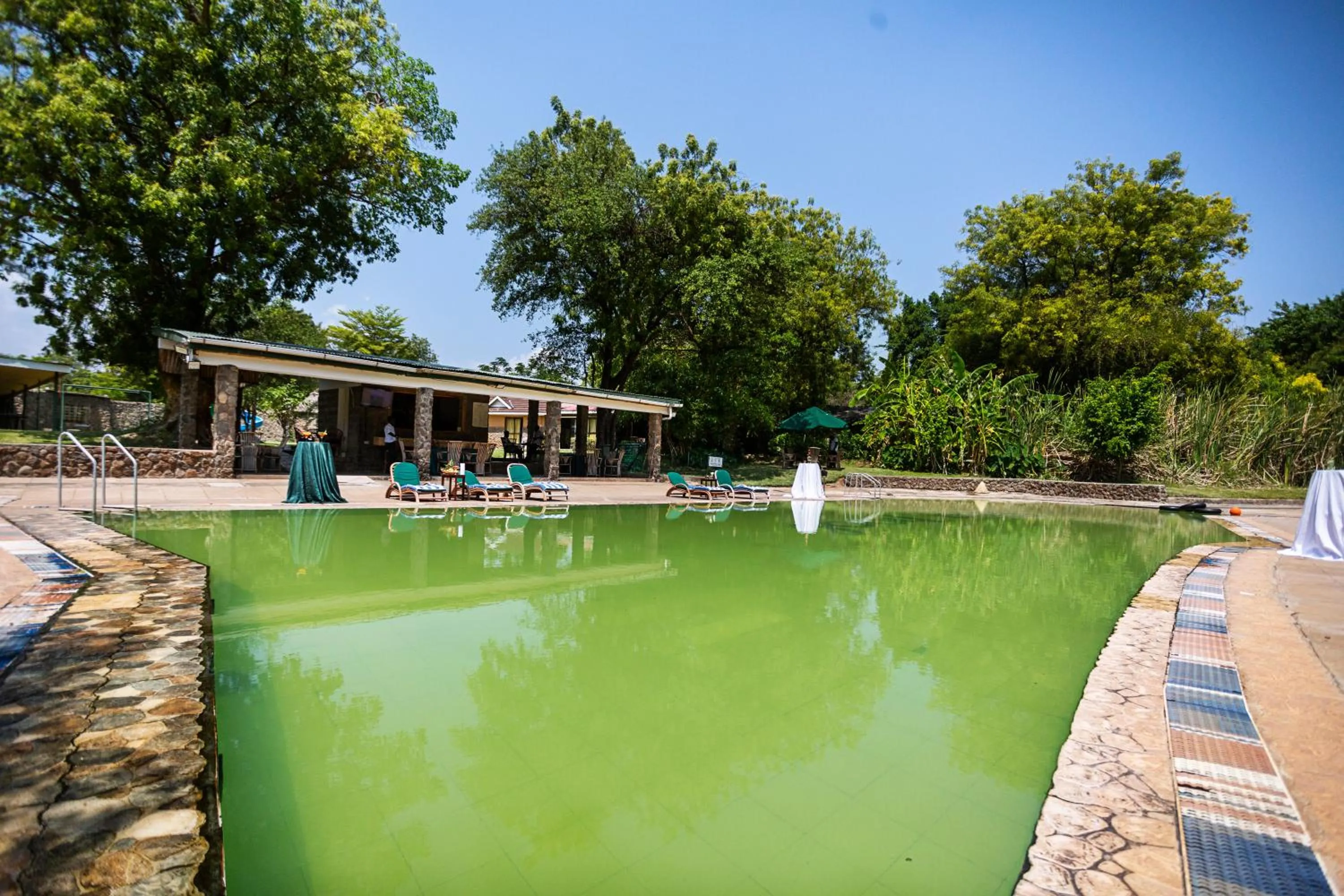 Pool view in Lake Bogoria Spa Resort