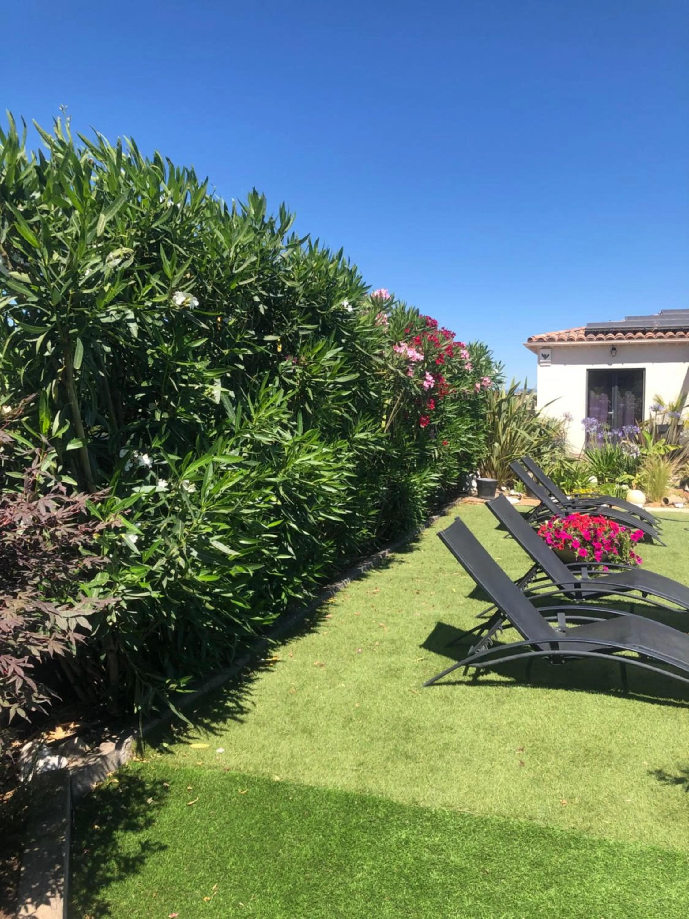 Garden in les costebelles