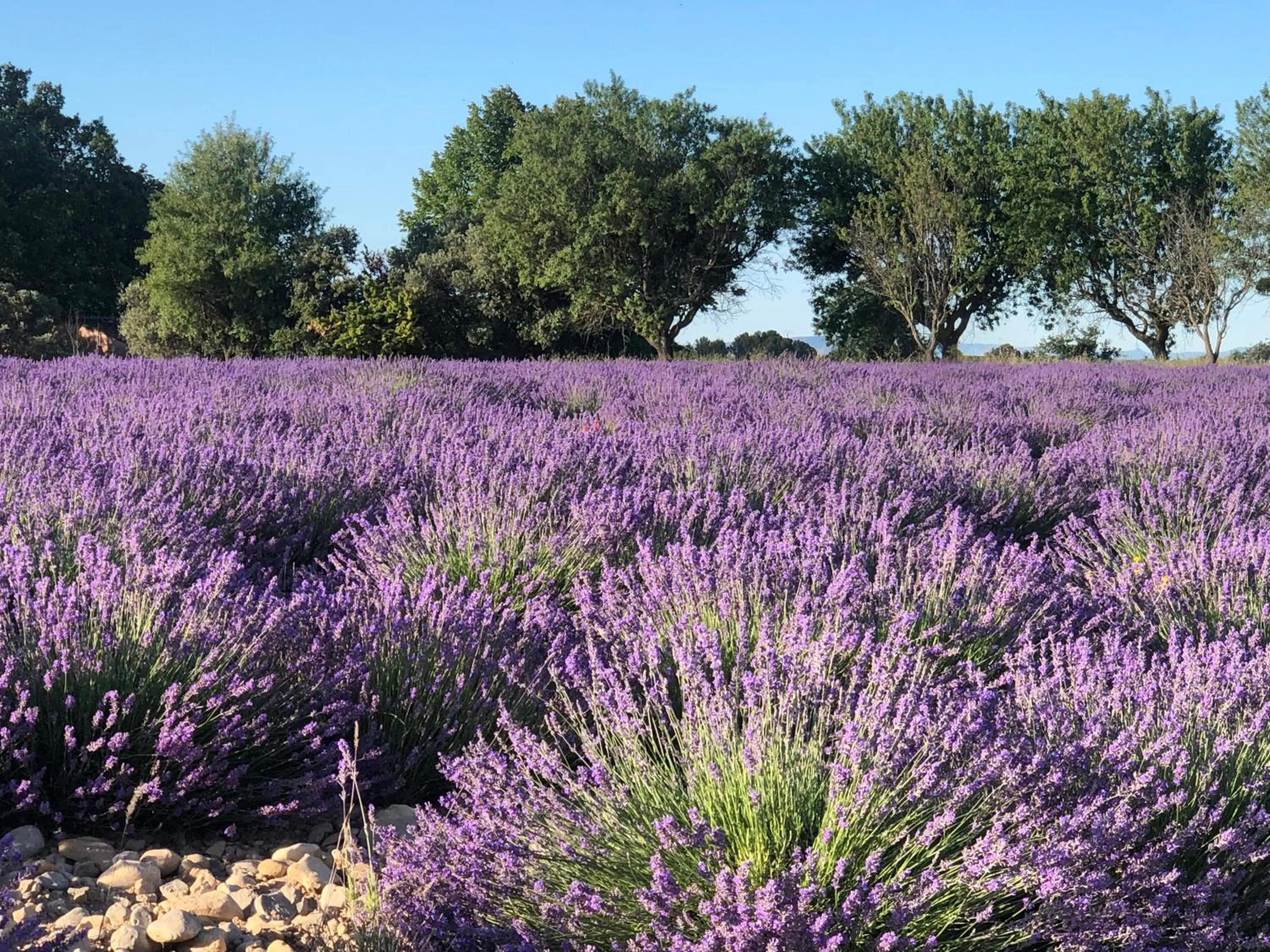 Natural landscape in les costebelles