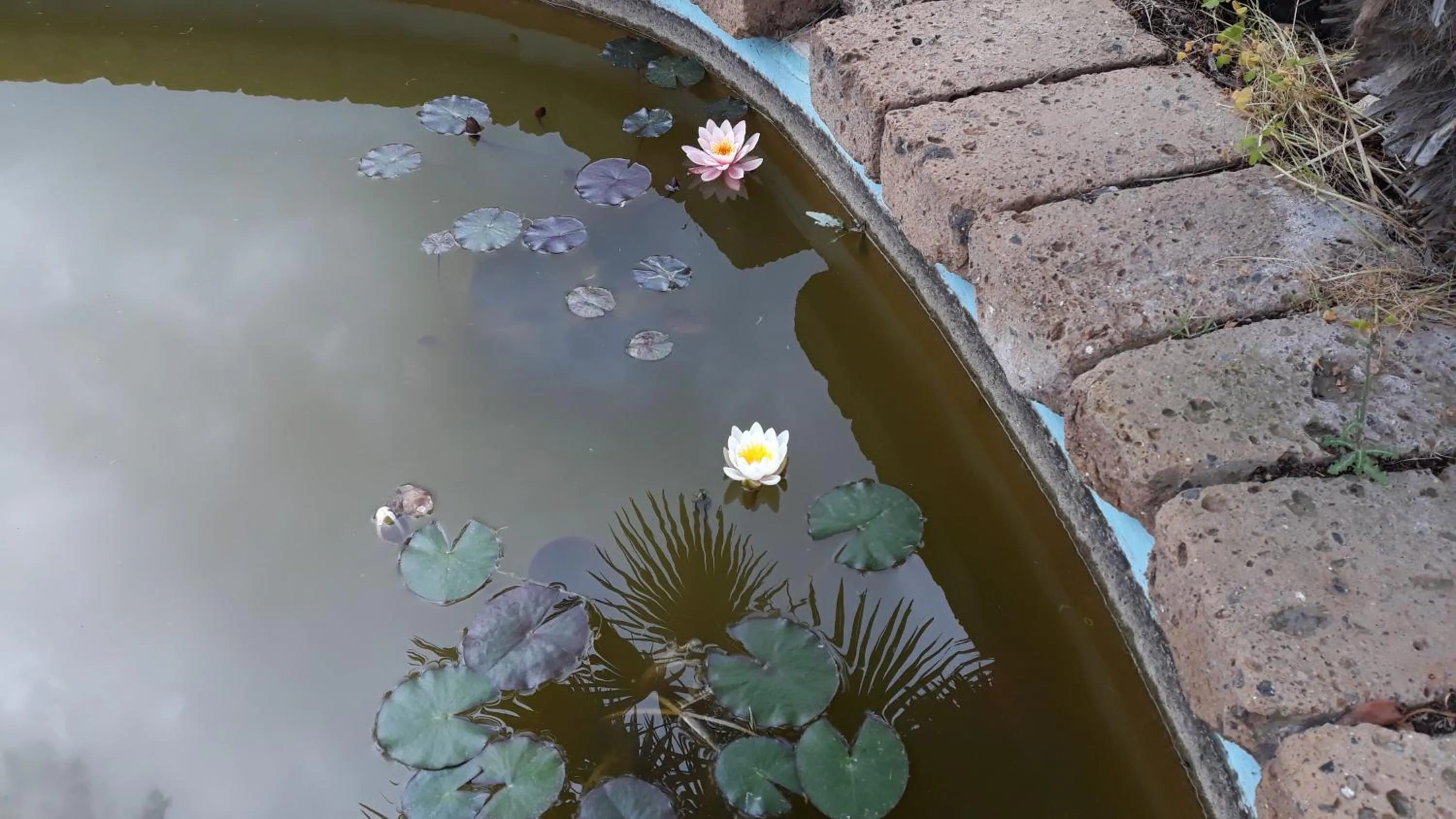 Garden in Villa delle torri