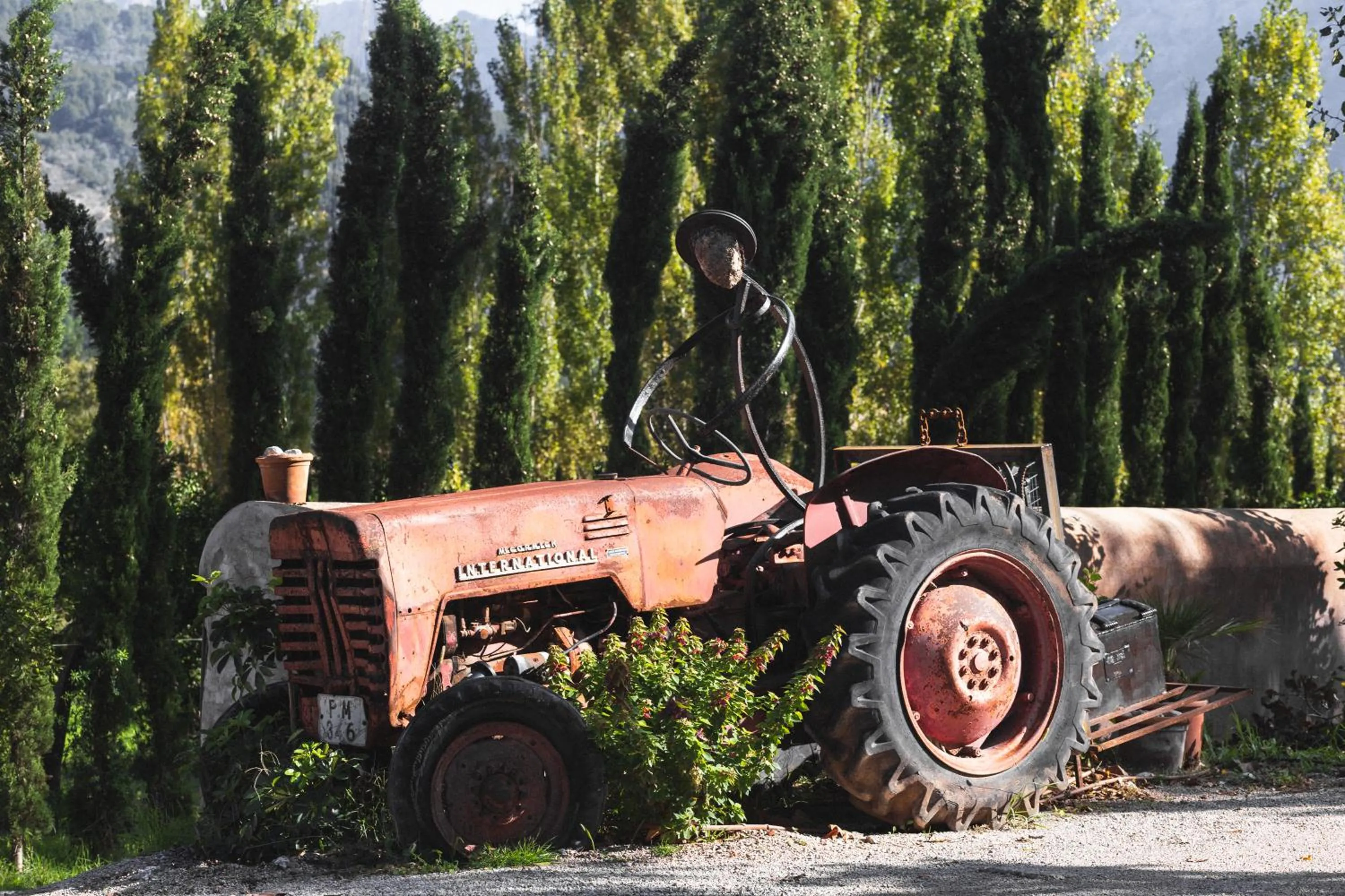 Decorative detail in Hotel Finca Ca N'ai - Adults Only