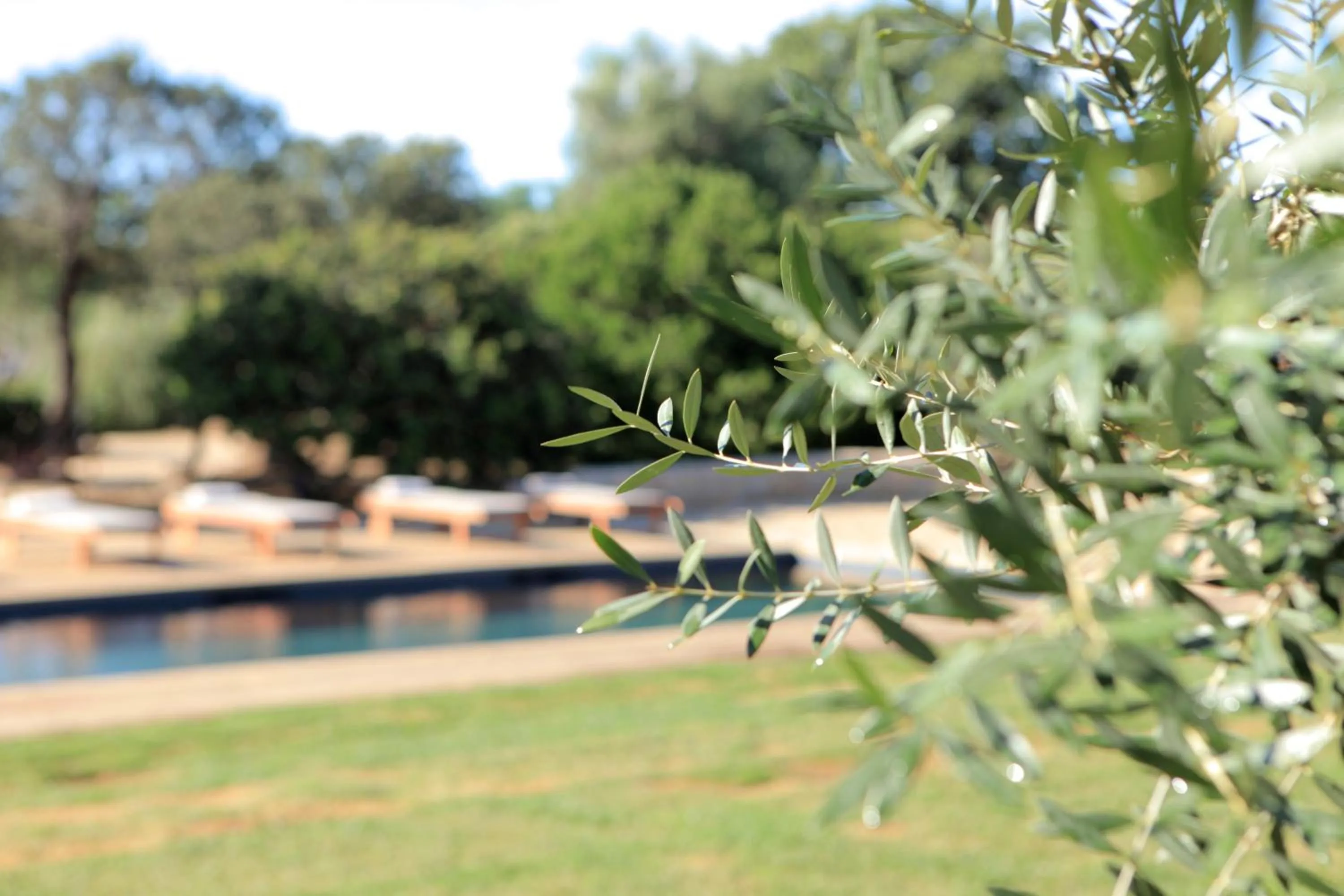 Pool view in Casa Legna
