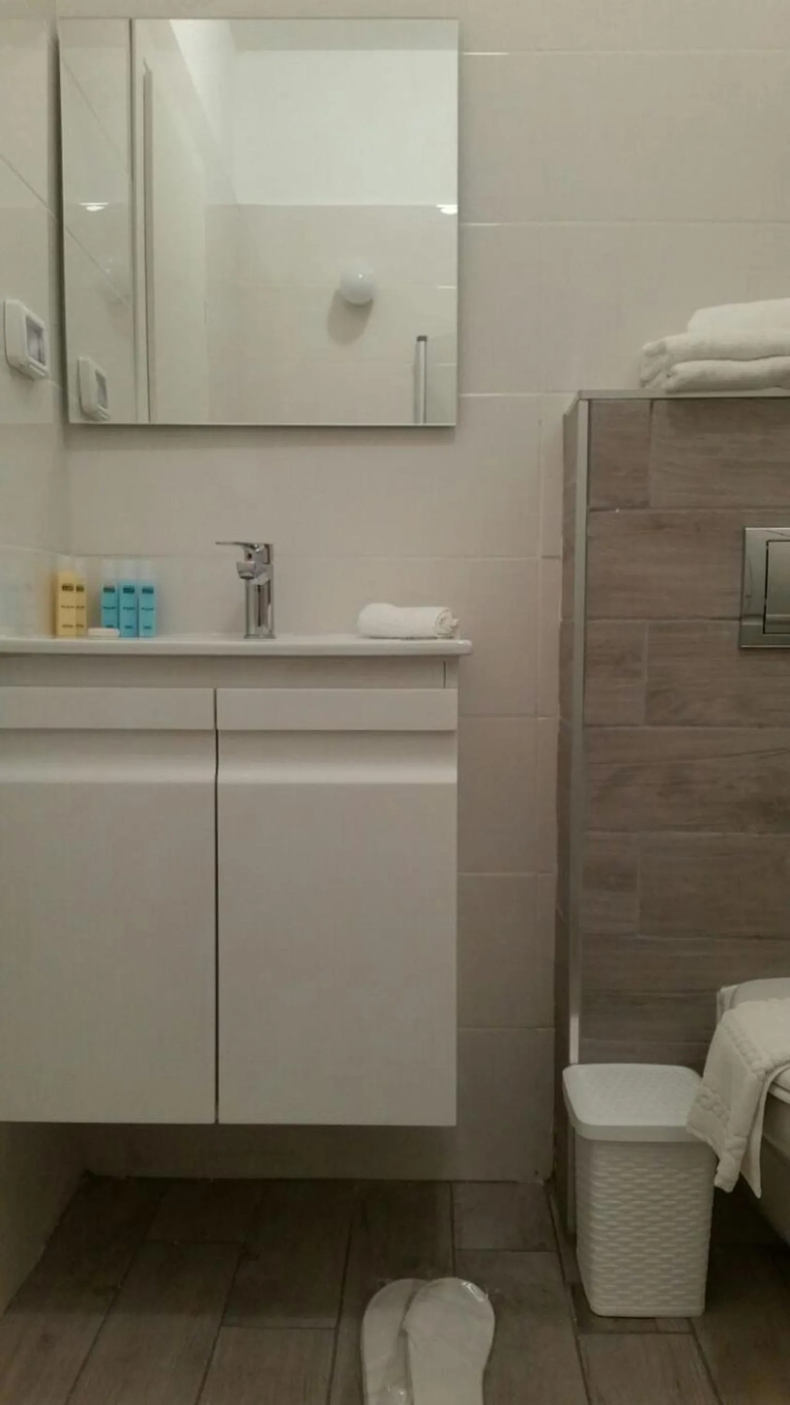 Bathroom in Rothschild Mansion