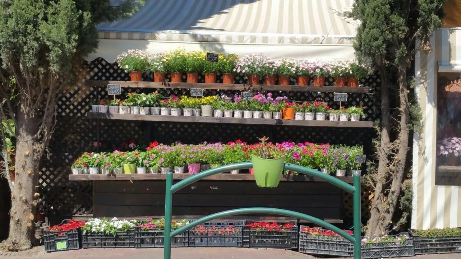 Off site in Rothschild Mansion