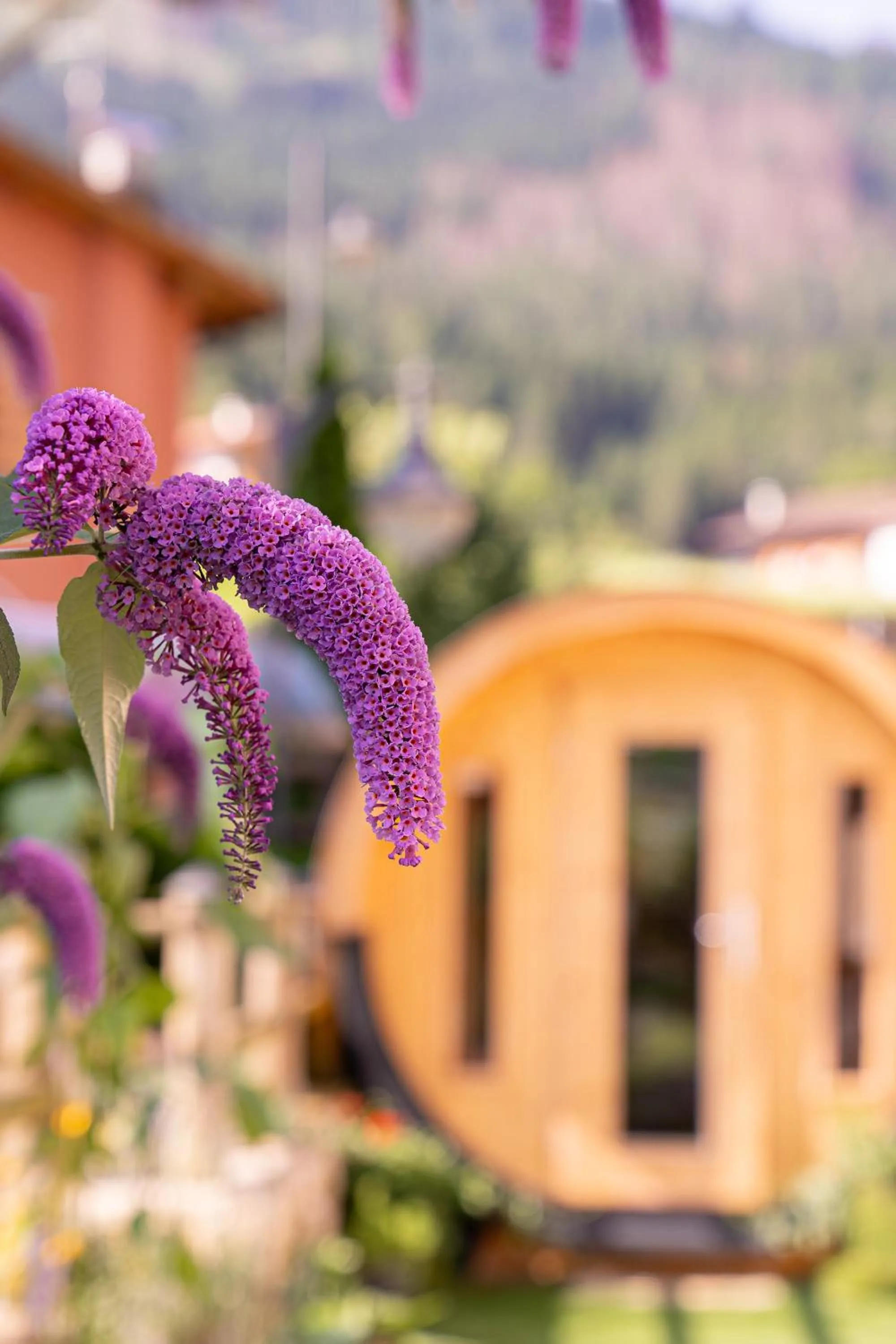 Natural landscape in Negritella Sweet Hotel