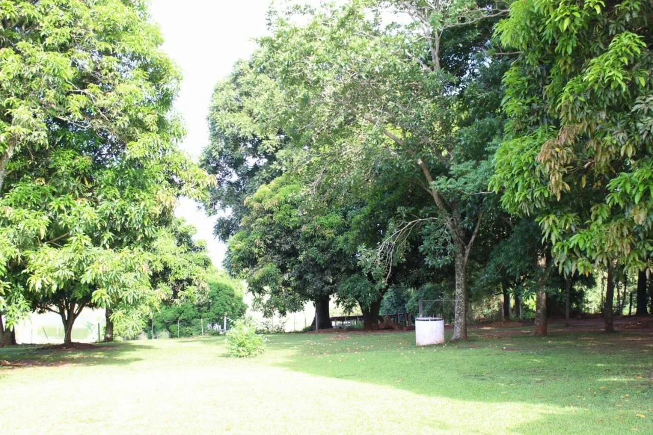 Garden in Hotel Kaeru