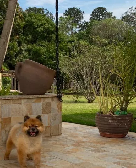 Garden in Hotel Kaeru