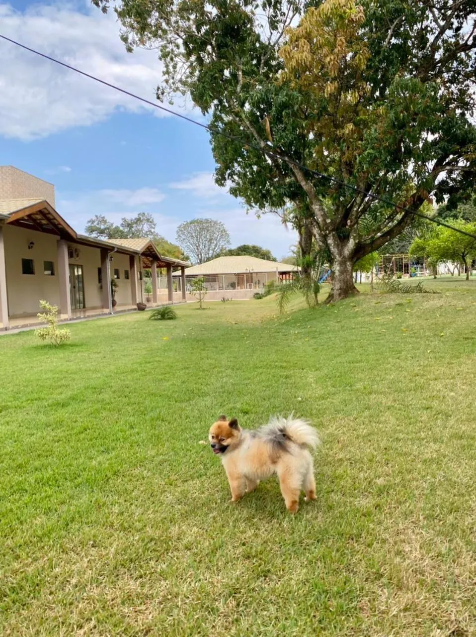 Garden in Hotel Kaeru