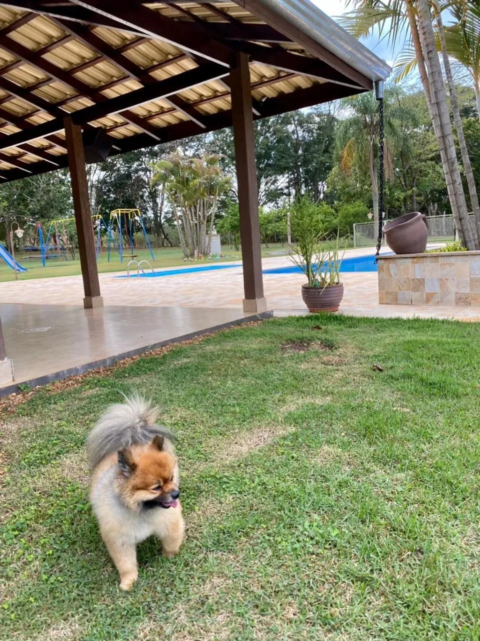 Children play ground in Hotel Kaeru