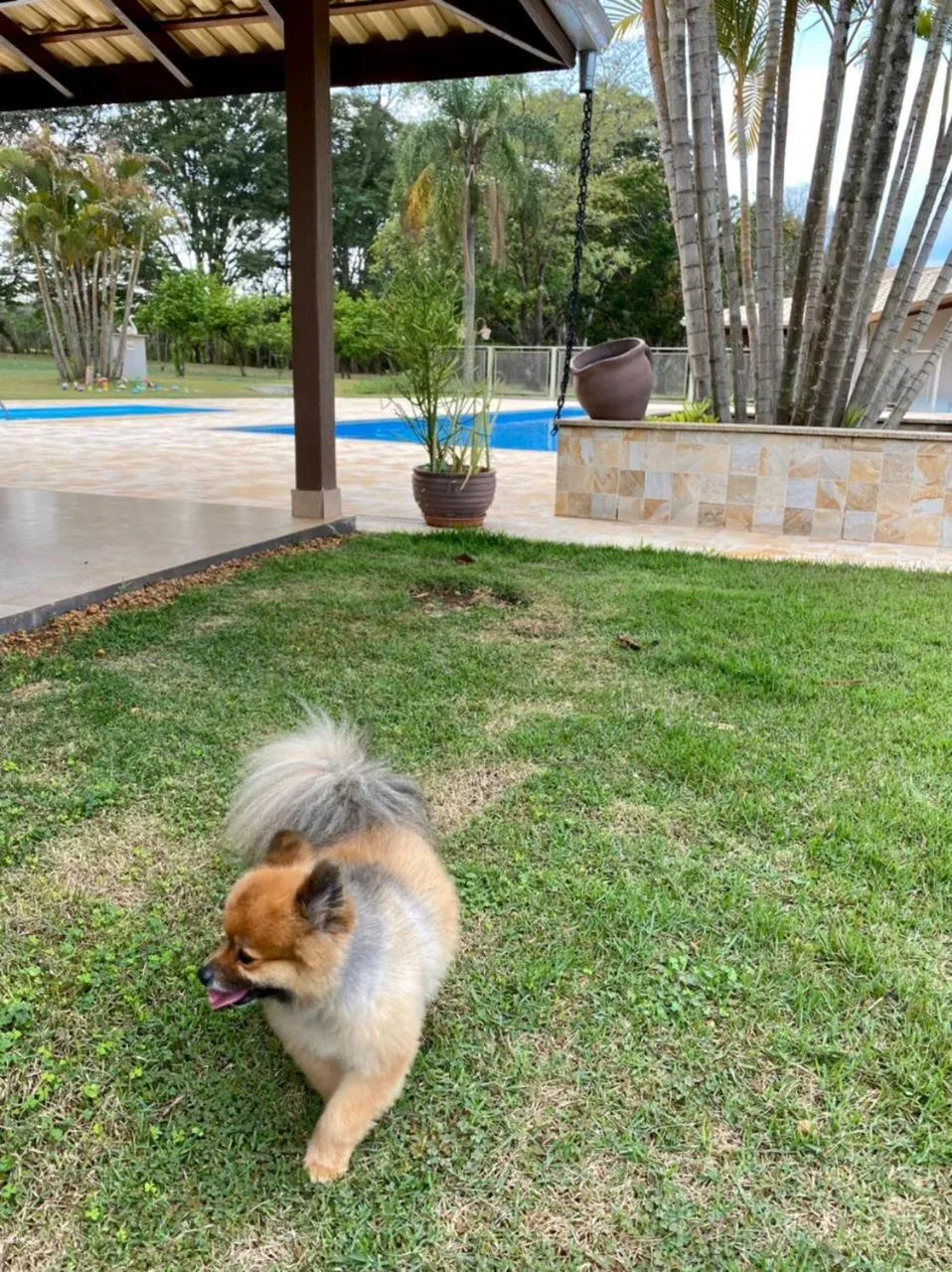 Swimming pool in Hotel Kaeru