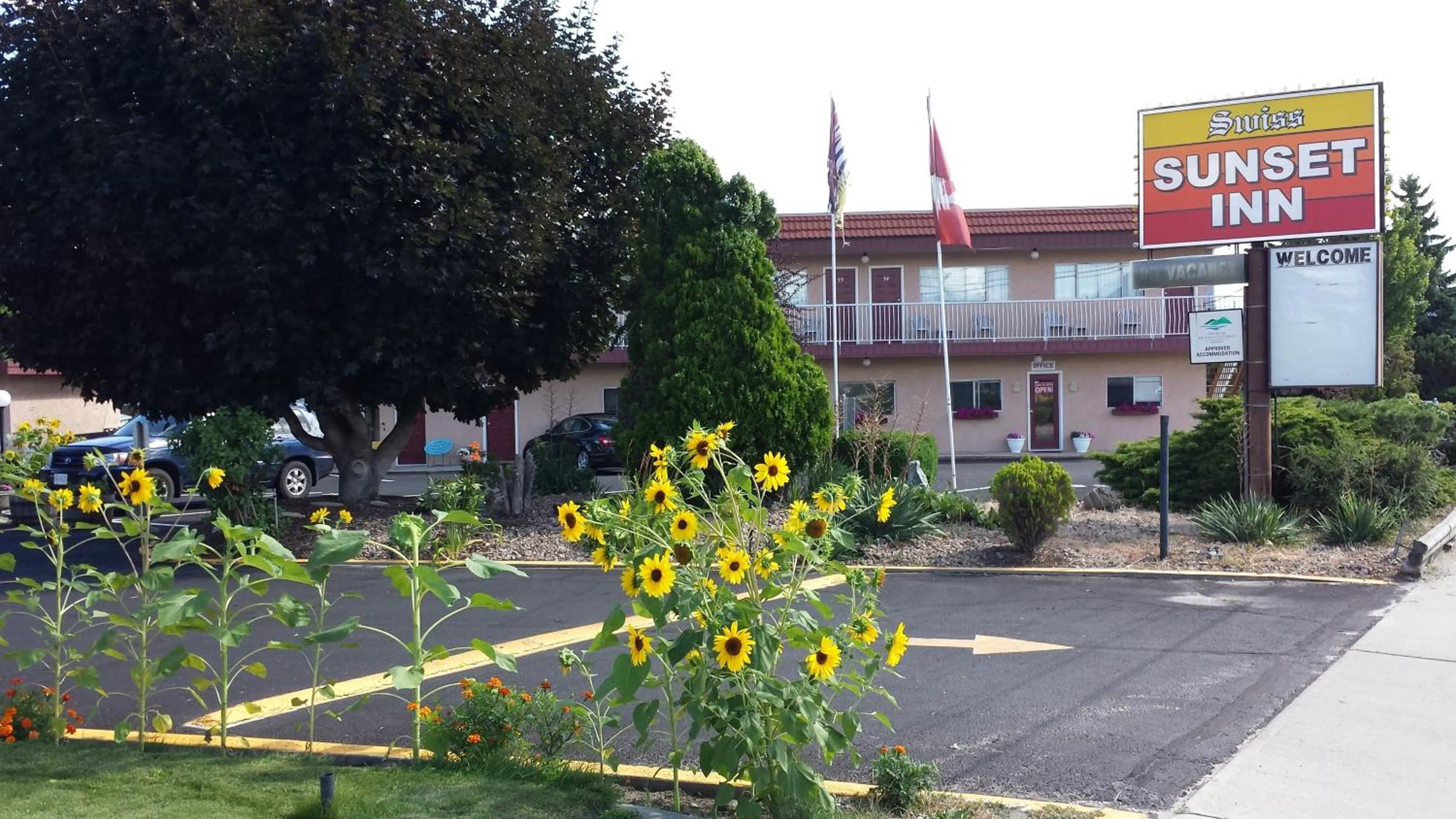 Area and facilities in Swiss Sunset Inn