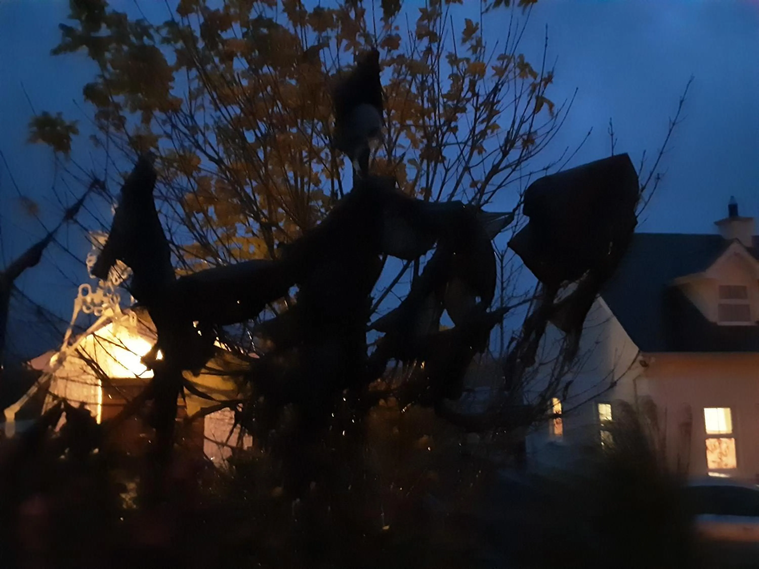 Internal: Not applicable to any particular room in Hawthorn Lodge