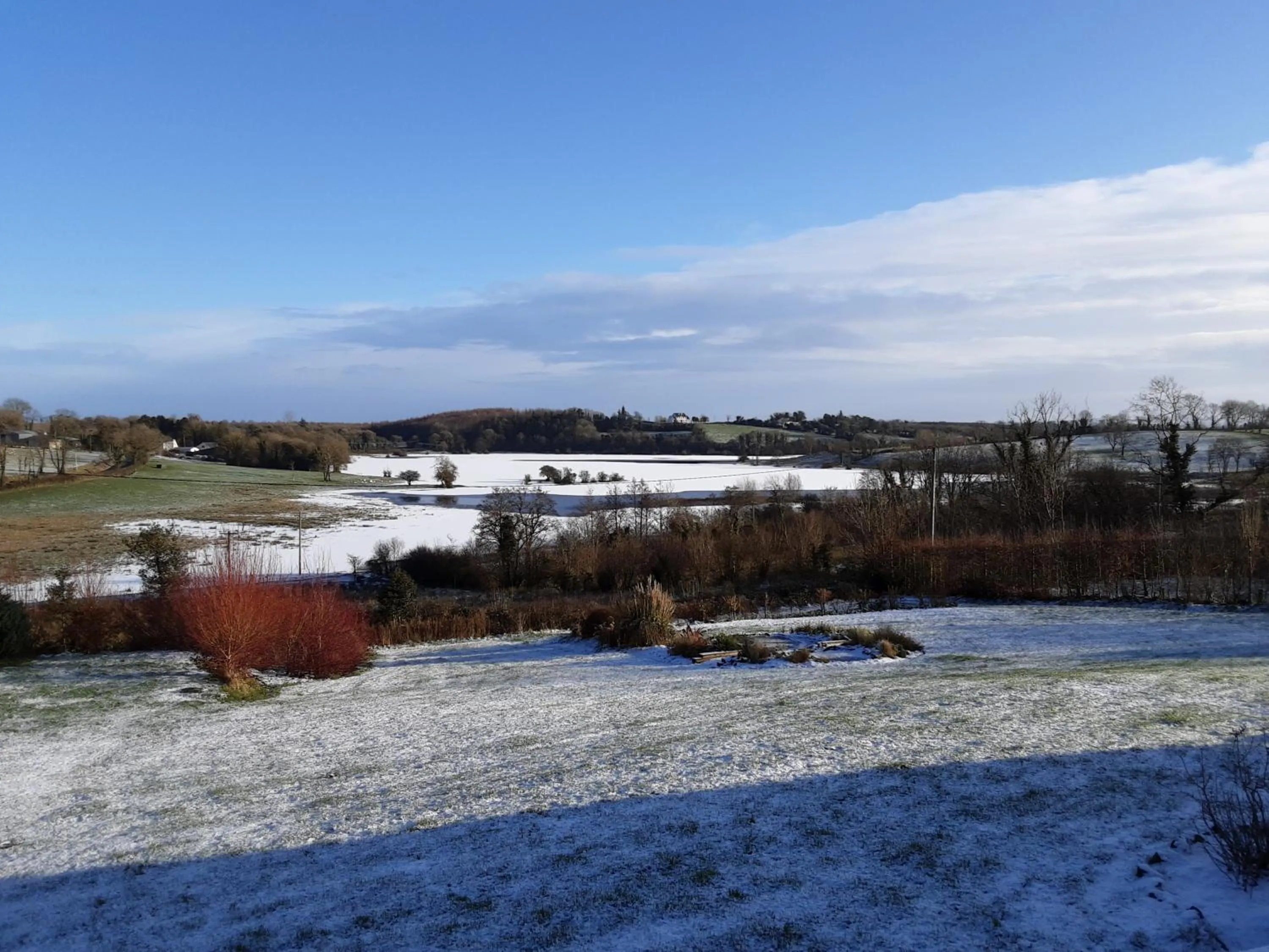 Day in Hawthorn Lodge