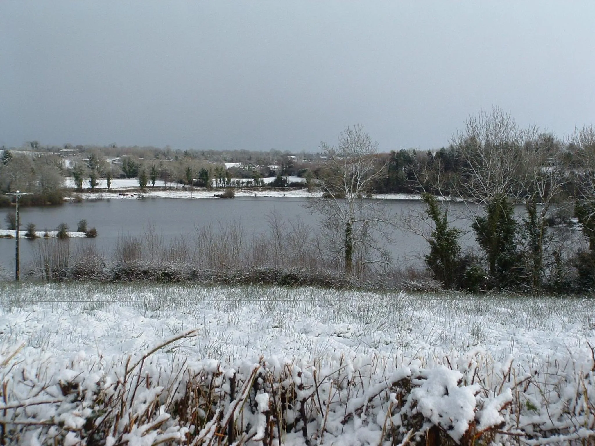 Natural landscape in Hawthorn Lodge