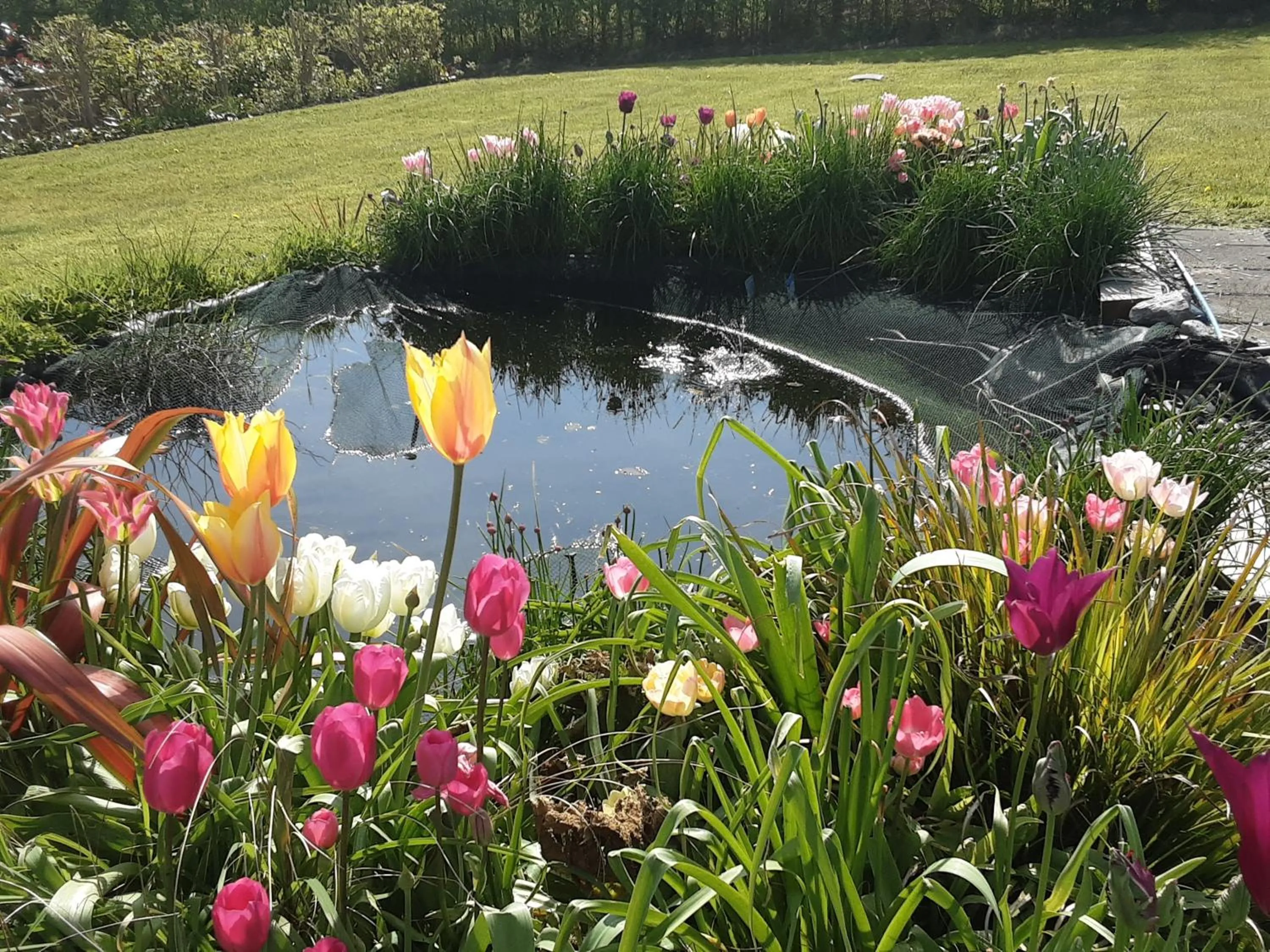 Natural landscape in Hawthorn Lodge