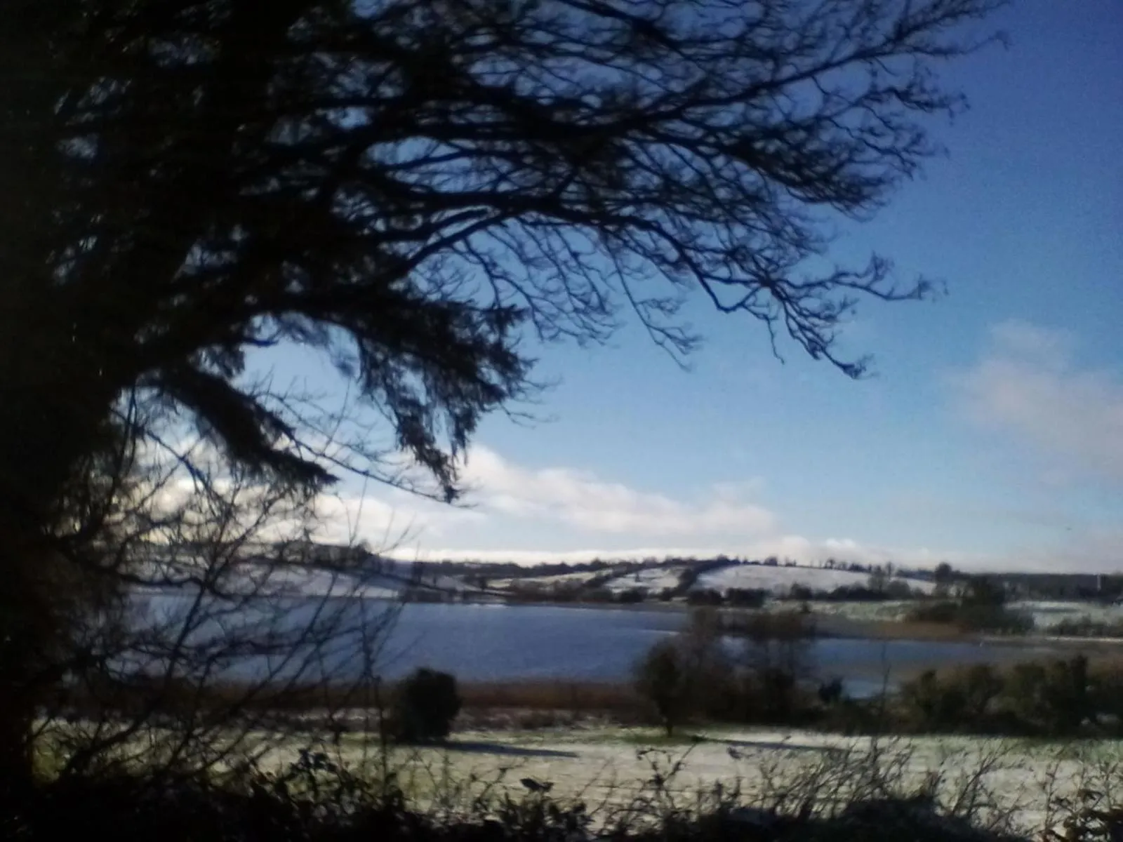 Day in Hawthorn Lodge