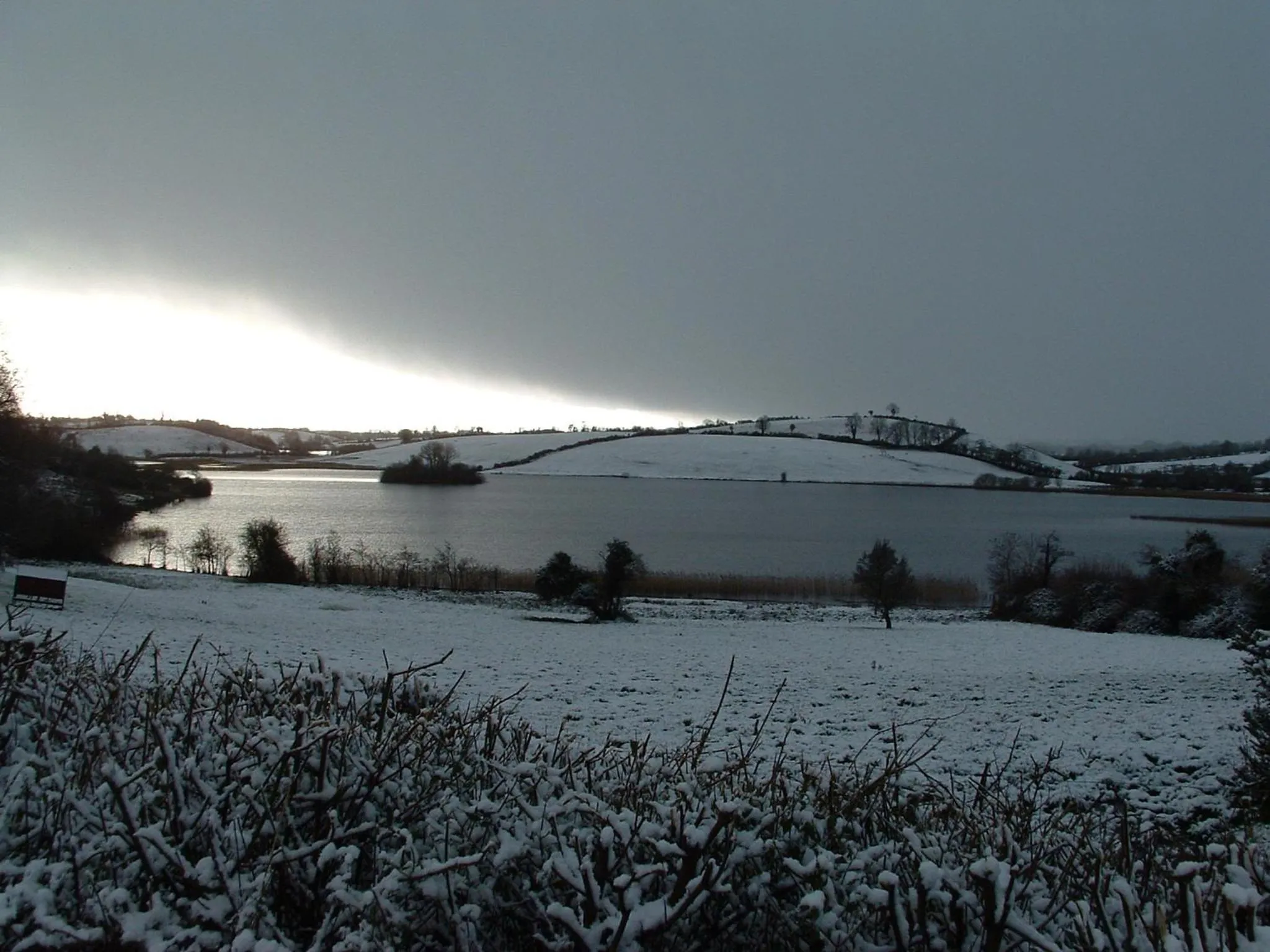 Day in Hawthorn Lodge