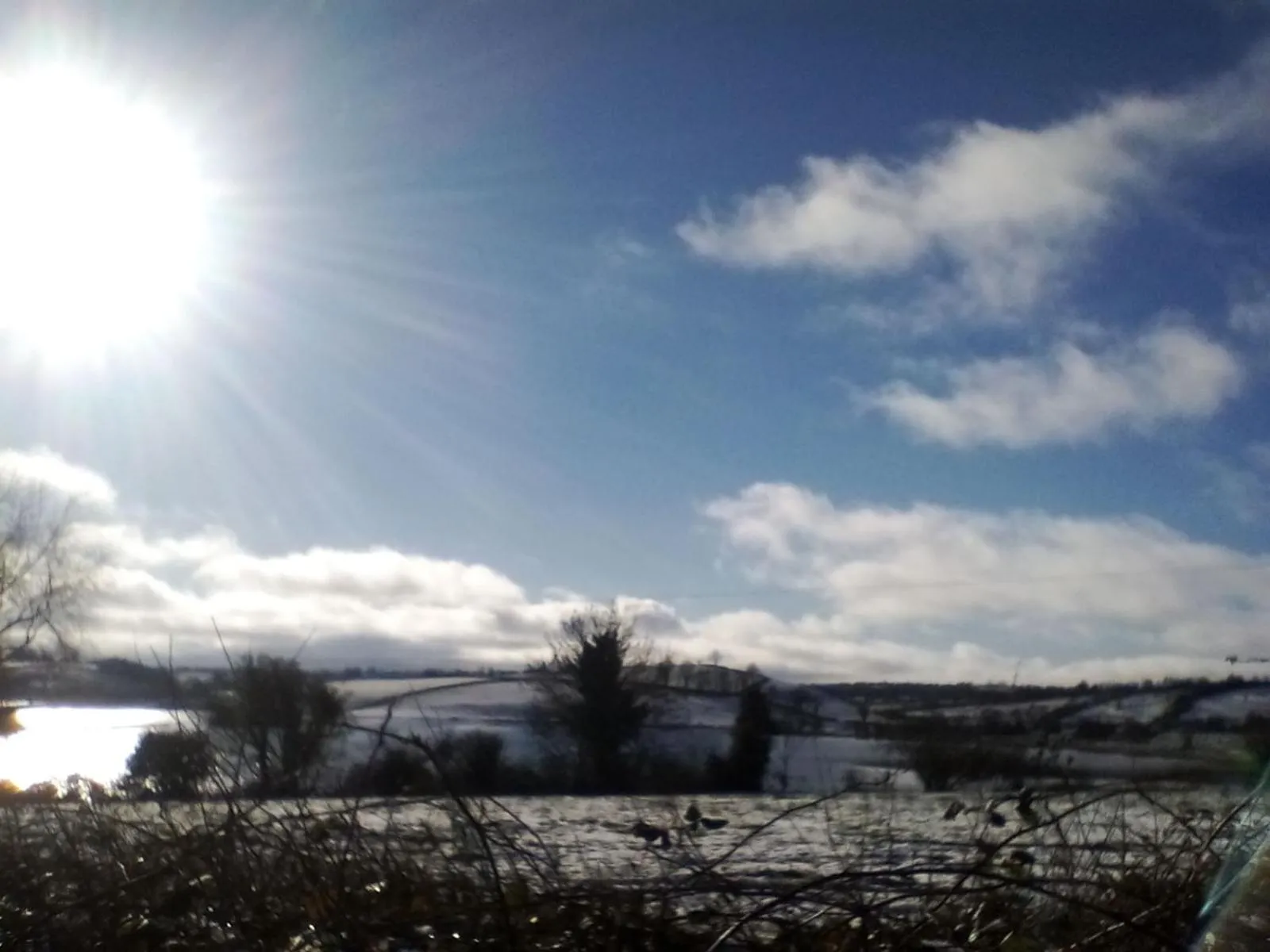 Day in Hawthorn Lodge