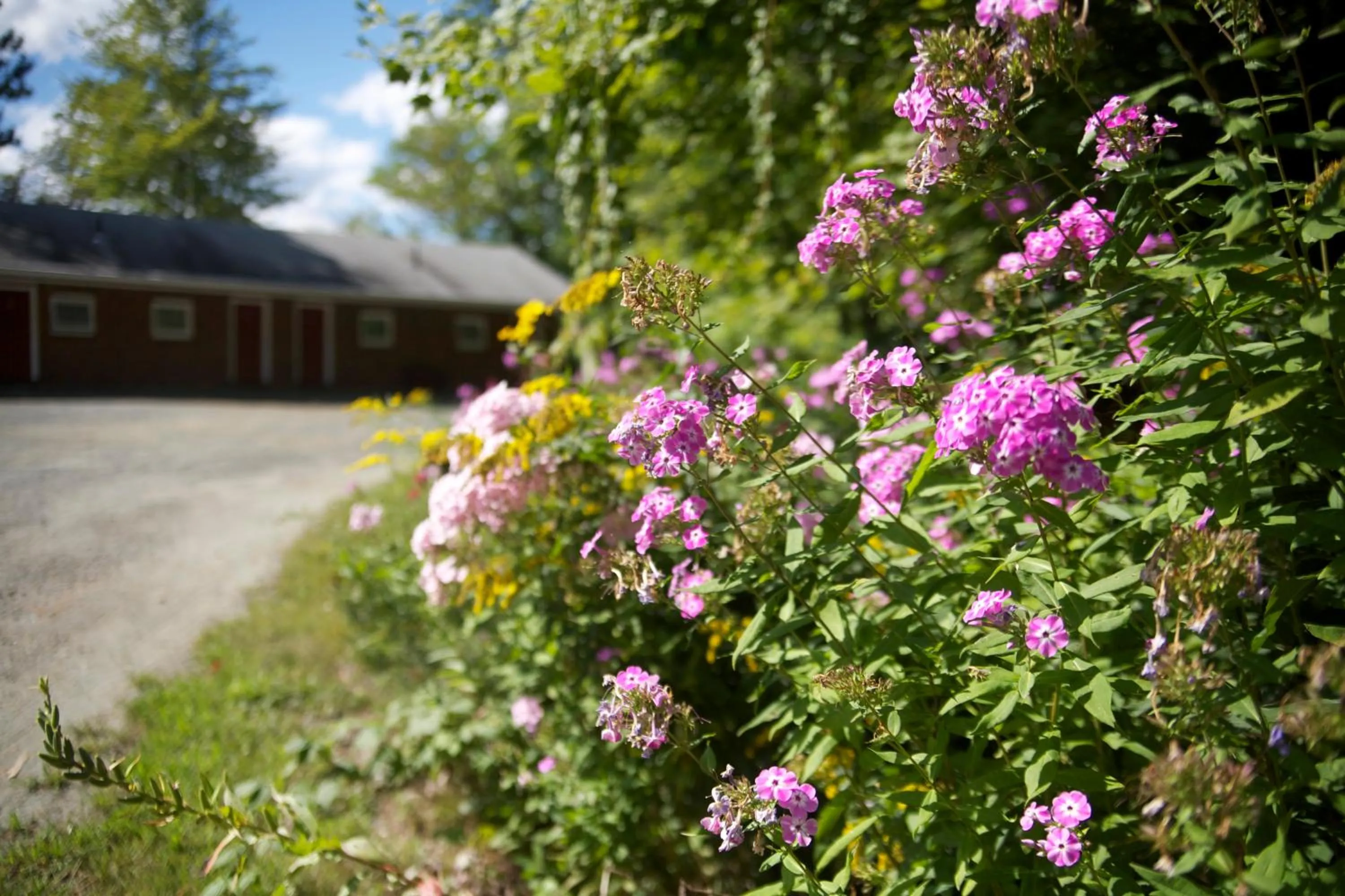 Decorative detail in Sunset Motor Inn