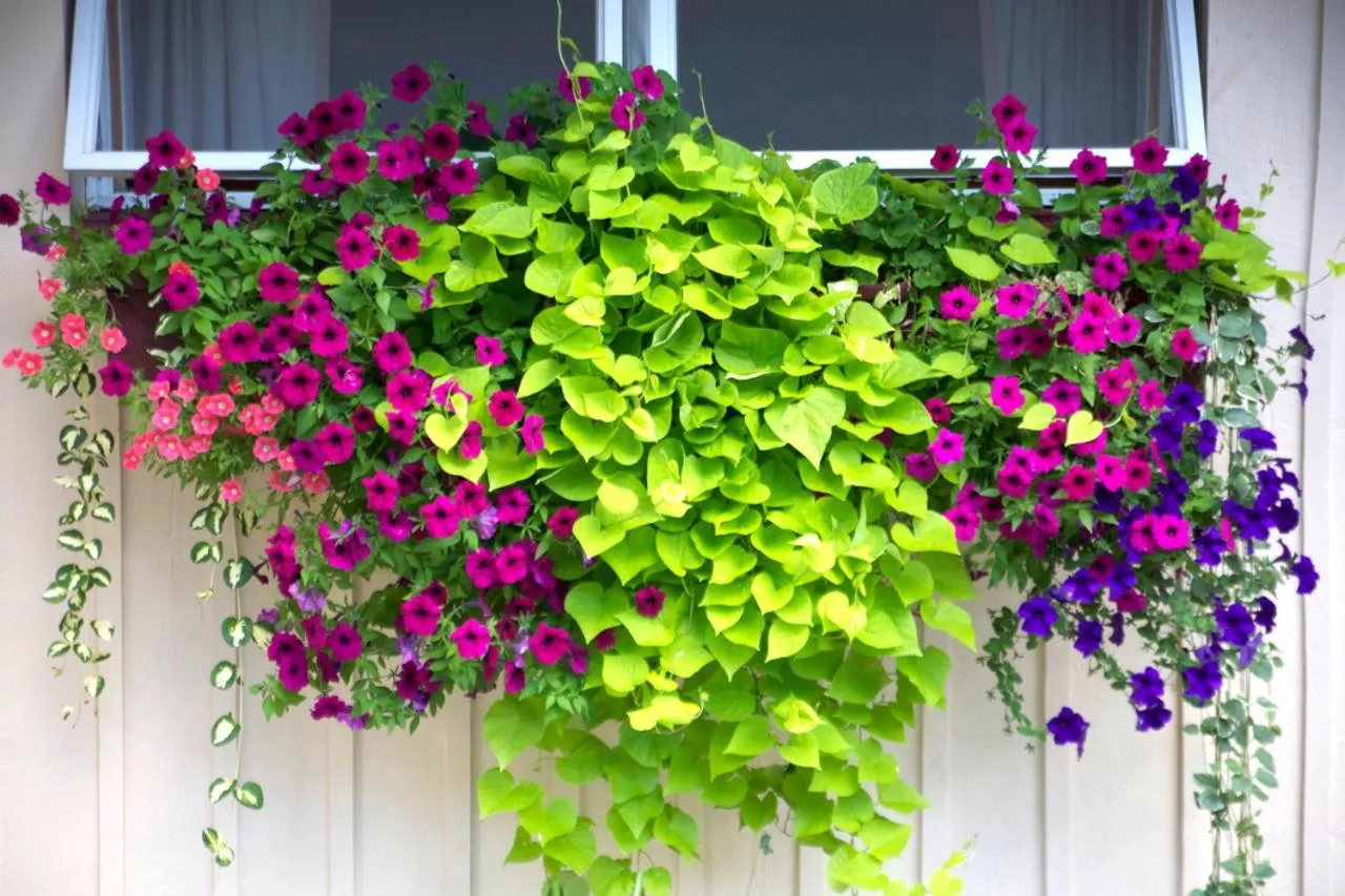 Decorative detail in Sunset Motor Inn